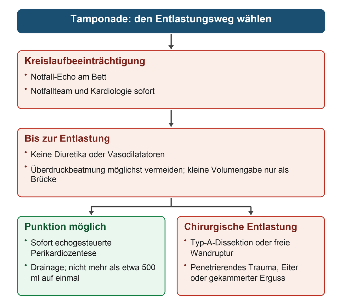 Kreislaufbeeinträchtigung führt zu sofortigem Bett-Echo; bis zur Entlastung werden Diuretika, Vasodilatatoren und möglichst Überdruckbeatmung vermieden. Danach verzweigt der Weg in echogesteuerte Punktion mit Drainage oder chirurgische Entlastung bei Blutungsursache, Trauma, Eiter oder gekammertem Erguss.