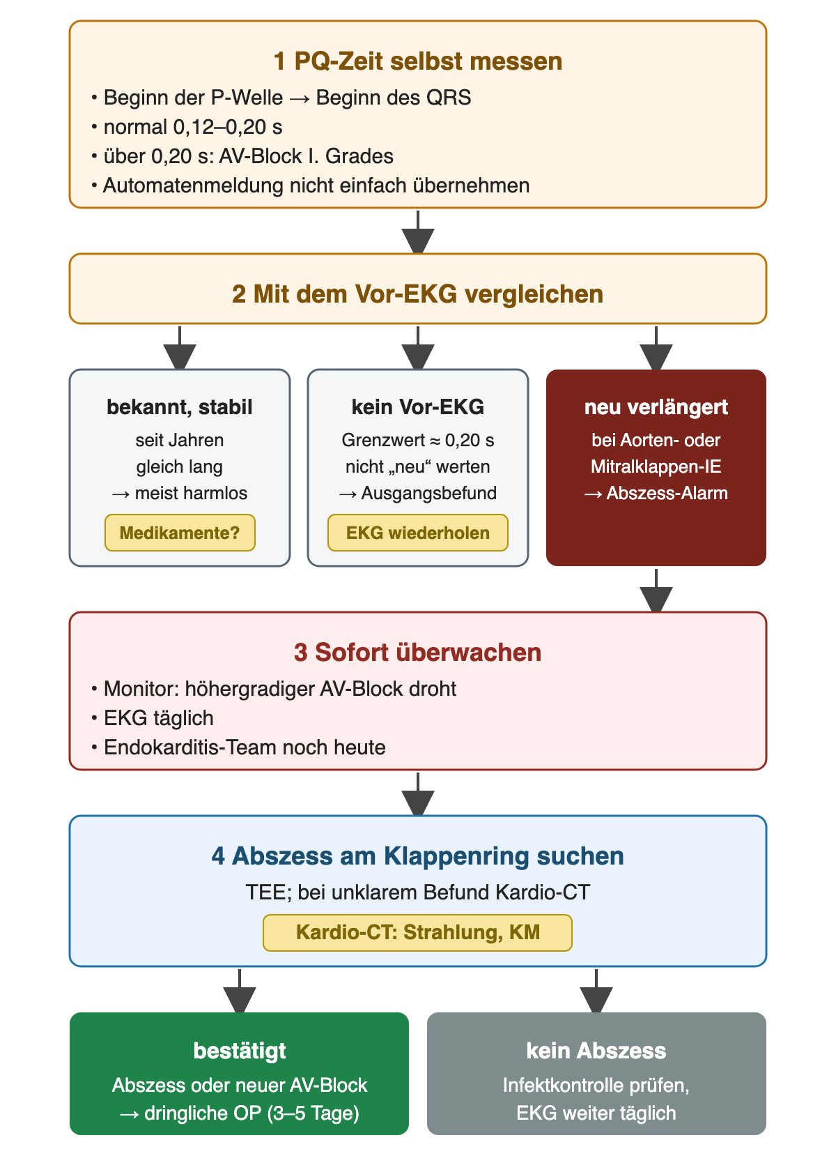 Entscheidungsweg von oben nach unten: PQ-Zeit selbst messen, mit Vor-EKG vergleichen; drei Spalten bekannt und stabil, kein Vor-EKG mit Grenzwert, neu verlängert bei Aorten- oder Mitralklappen-Endokarditis; aus der dritten Spalte Überwachung, Abszesssuche mit TEE und Kardio-CT und als Ergebnis dringliche Operation oder weitere Kontrolle