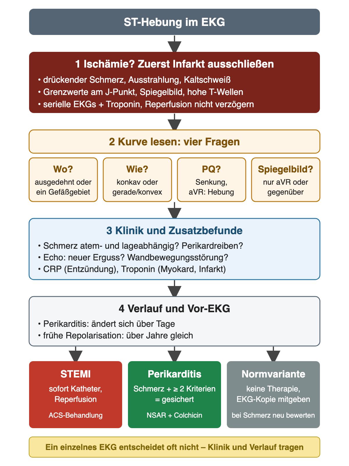 Flussdiagramm von oben nach unten: ST-Hebung im EKG; Schritt 1 rot: bei Ischämiebeschwerden zuerst Infarkt ausschließen; Schritt 2: vier Fragen Wo, Wie, PQ-Strecke und Spiegelbild; Schritt 3: Klinik und Zusatzbefunde; Schritt 4: Verlauf und Vor-EKG; unten drei Ergebnisfelder STEMI, Perikarditis und Normvariante