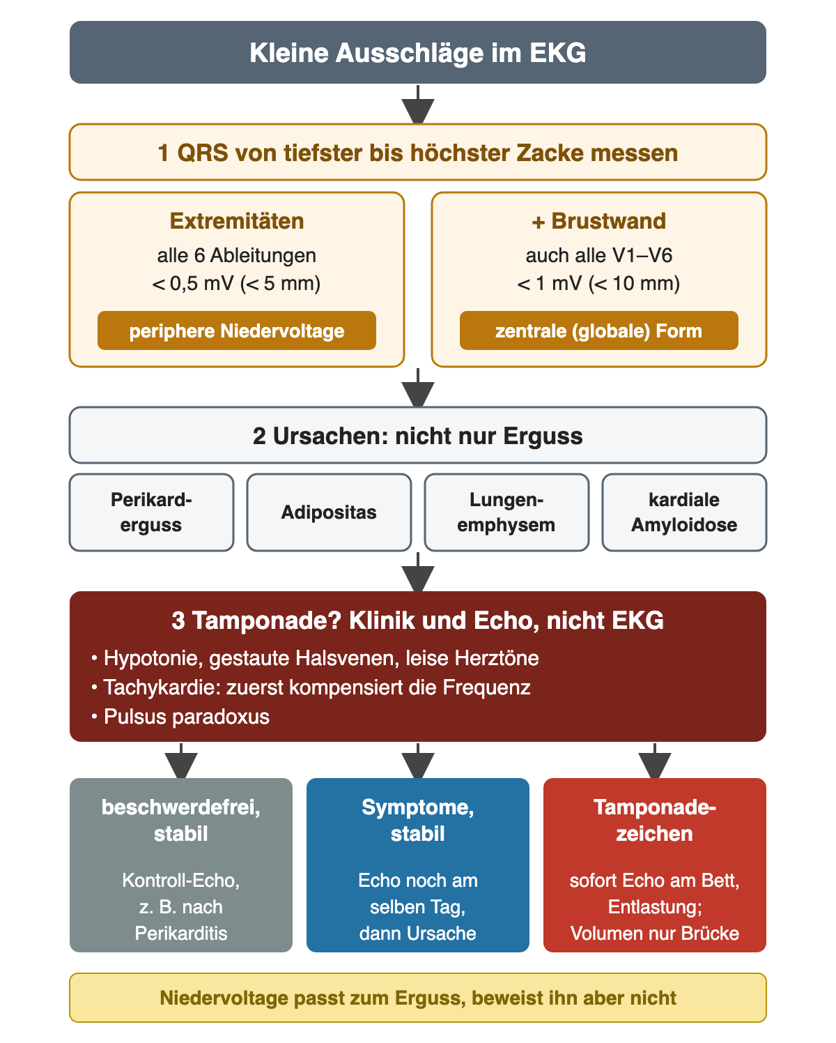 Flussdiagramm: kleine Ausschläge im EKG; Schritt 1: Extremitätenableitungen alle unter 0,5 mV gleich periphere Niedervoltage, zusätzlich Brustwandableitungen alle unter 1 mV gleich zentrale Form; Schritt 2: Ursachen Perikarderguss, Adipositas, Lungenemphysem, kardiale Amyloidose; Schritt 3 rot: Tamponade an Klinik und Echo erkennen; unten drei Ergebnisfelder Kontroll-Echo, Echo am selben Tag und sofortiges Echo am Bett