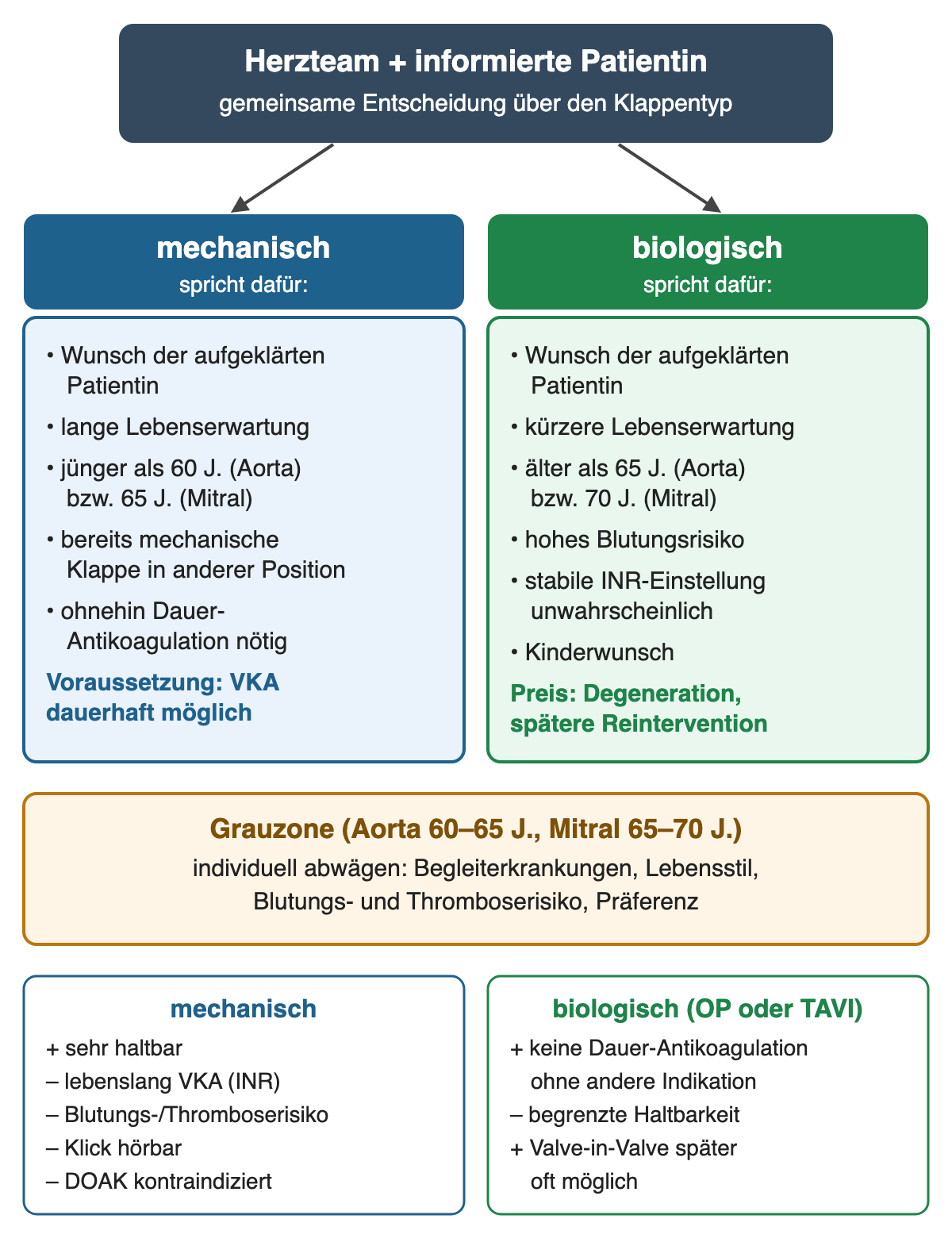 Zwei Spalten unter einem Kasten Herzteam: links Gründe für eine mechanische Klappe, rechts Gründe für eine biologische Klappe, darunter die Altersgrauzone und eine Gegenüberstellung von Vor- und Nachteilen