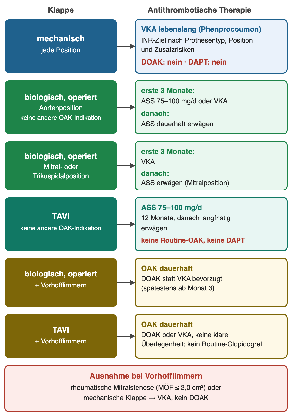 Sechs Zeilen mit Klappentyp links und antithrombotischer Therapie rechts: mechanisch, operierte Bioprothese aortal, operierte Bioprothese mitral/trikuspidal, TAVI, Bioprothese mit Vorhofflimmern, TAVI mit Vorhofflimmern; unten ein roter Ausnahmekasten
