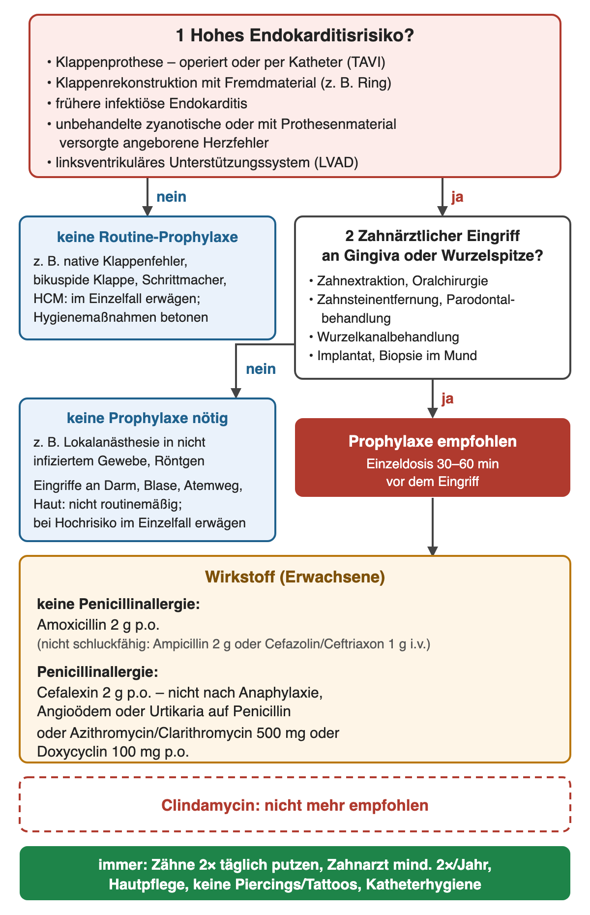 Entscheidungsweg in zwei Fragen: erst hohes Endokarditisrisiko, dann zahnärztlicher Eingriff an Gingiva oder Wurzelspitze; bei zweimal ja Prophylaxe mit Einzeldosis, darunter die Wirkstoffe, ein Hinweis, dass Clindamycin nicht mehr empfohlen ist, und die allgemeinen Hygienemaßnahmen