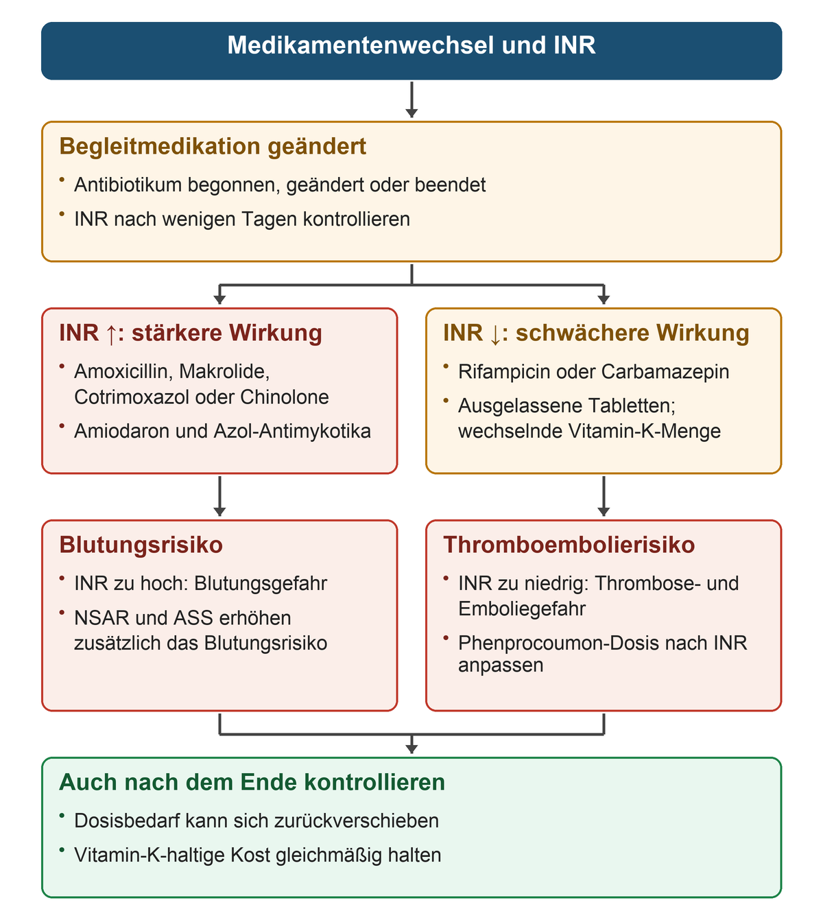 Medikamentenbeginn oder -ende führt zur INR-Kontrolle; links erhöhen mehrere Antibiotika, Amiodaron und Azole die Wirkung mit Blutungsgefahr, rechts senken Rifampicin, Carbamazepin, ausgelassene Tabletten oder wechselnde Vitamin-K-Zufuhr die Wirkung; unten folgt die erneute Kontrolle nach Therapieende.