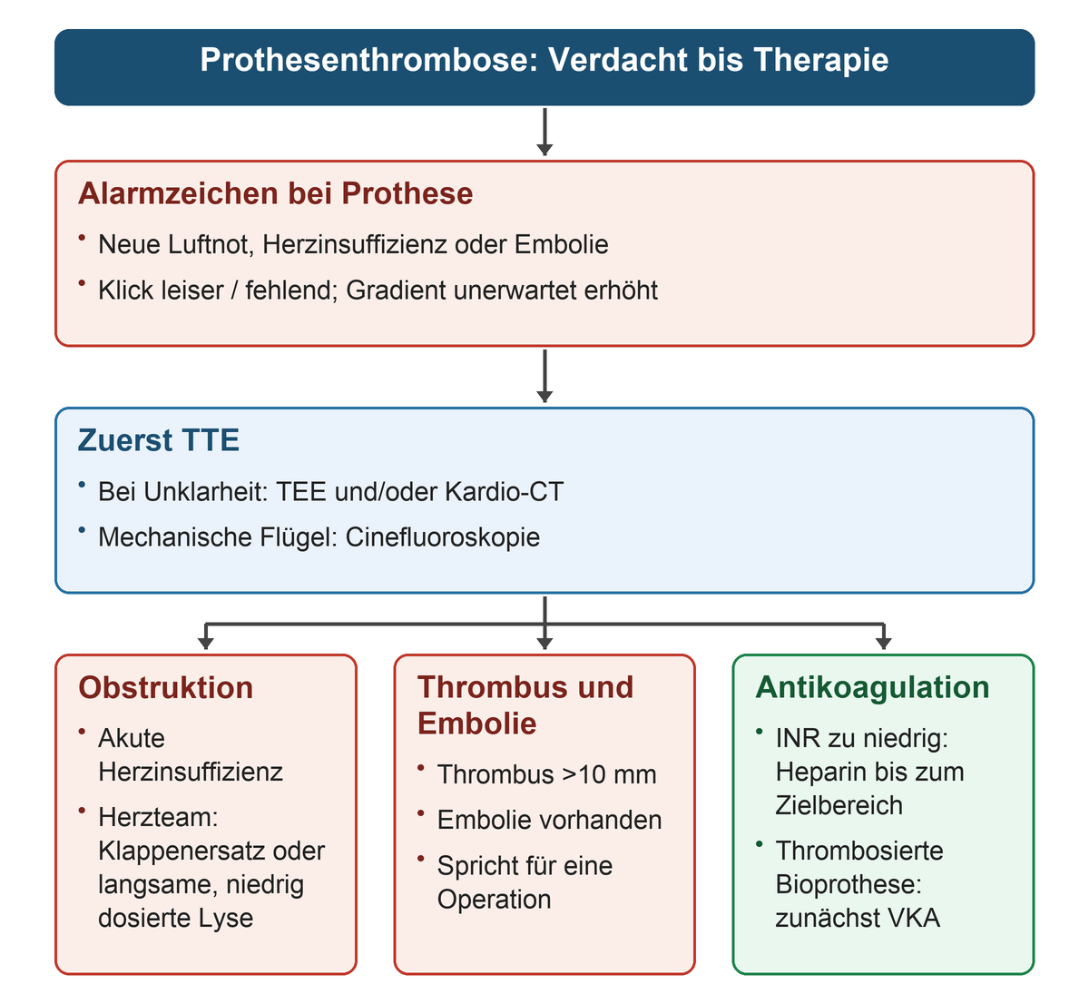 Alarmzeichen bei einer Klappenprothese führen zu TTE, bei Bedarf TEE, CT oder Durchleuchtung; drei getrennte Therapiebedingungen folgen: akute Herzinsuffizienz bei Obstruktion, Thrombus über 10 Millimeter mit Embolie sowie Wiederherstellung der Antikoagulation.
