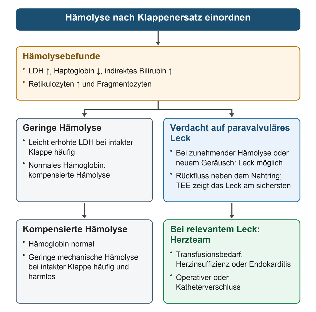 Hämolyseparameter führen zur Unterscheidung geringer kompensierter Hämolyse und zunehmender Hämolyse mit möglichem paravalvulärem Leck; TEE und relevante klinische Folgen führen zur Herzteamentscheidung über einen Verschluss.