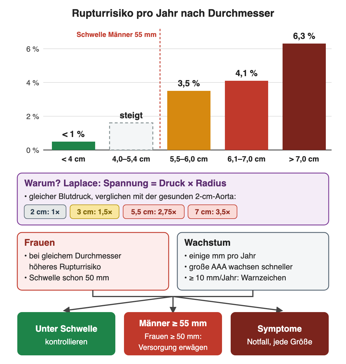 Balkendiagramm des jährlichen Rupturrisikos nach Durchmesser von unter 1 % bei unter 4 cm bis 6,3 % über 7 cm mit Linie bei 55 mm; darunter die Wandspannung nach Laplace als Vielfaches, Kästen zu Frauen und Wachstum und drei Ergebniskästen