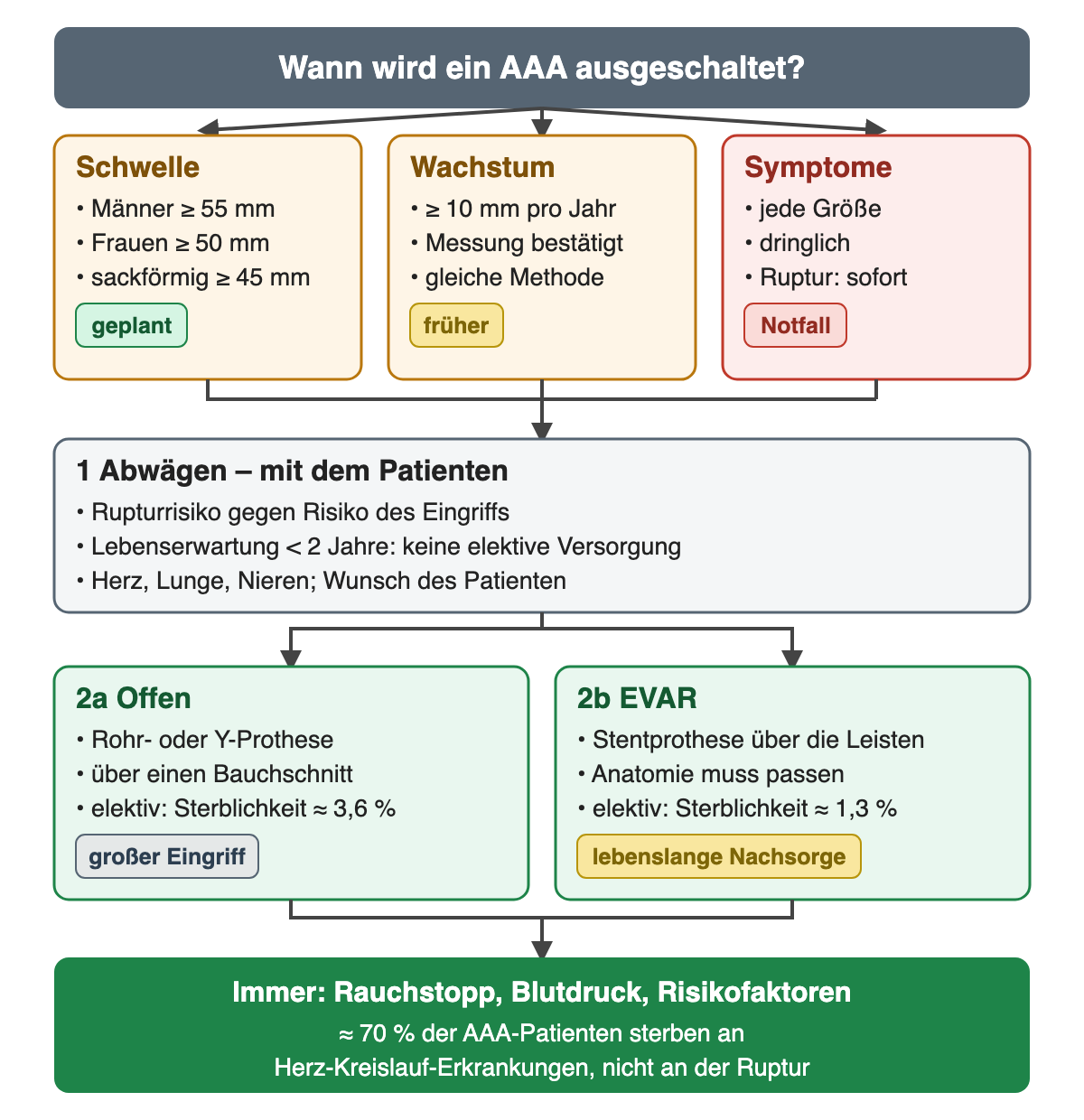 Diagramm: drei Auslöser einer Versorgung (Schwelle Männer 55, Frauen 50, sackförmig 45 mm; bestätigtes Wachstum ab 10 mm pro Jahr; Symptome), dann Abwägen mit dem Patienten inklusive Lebenserwartung unter 2 Jahren, zwei Verfahren offen und EVAR mit Sterblichkeit und Besonderheiten, unten Rauchstopp und Blutdruck für alle