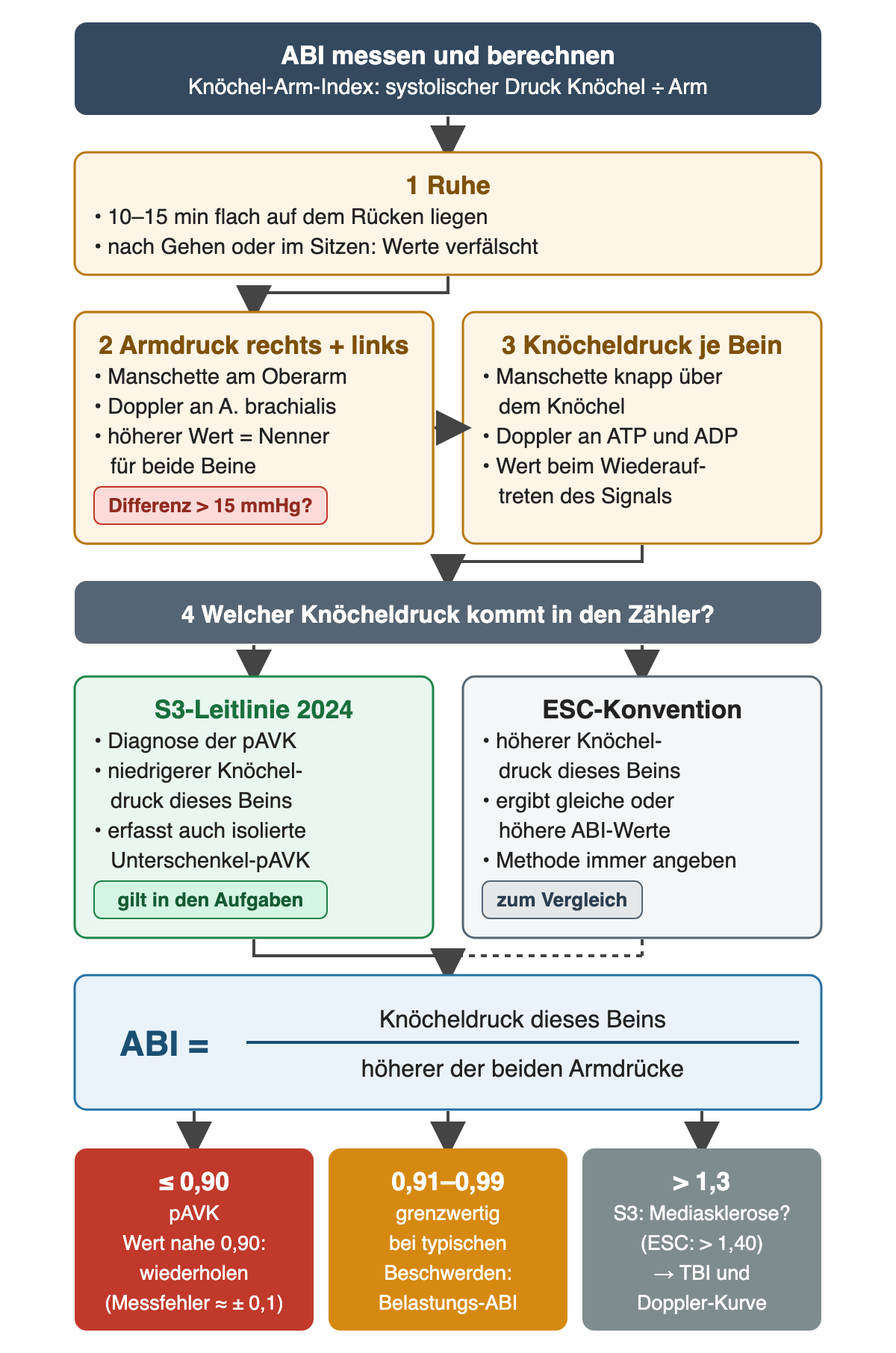 Ablaufschema der ABI-Messung: 1 Ruhe 10–15 Minuten, 2 Armdruck beidseits mit höherem Wert als Nenner, 3 Knöcheldruck an A. tibialis posterior und A. dorsalis pedis; 4 nebeneinander S3-Leitlinie mit niedrigerem und ESC-Konvention mit höherem Knöcheldruck im Zähler; Formel; unten drei Ergebnisse: bis 0,90 pAVK, 0,91–0,99 grenzwertig, über 1,3 Verdacht auf Mediasklerose