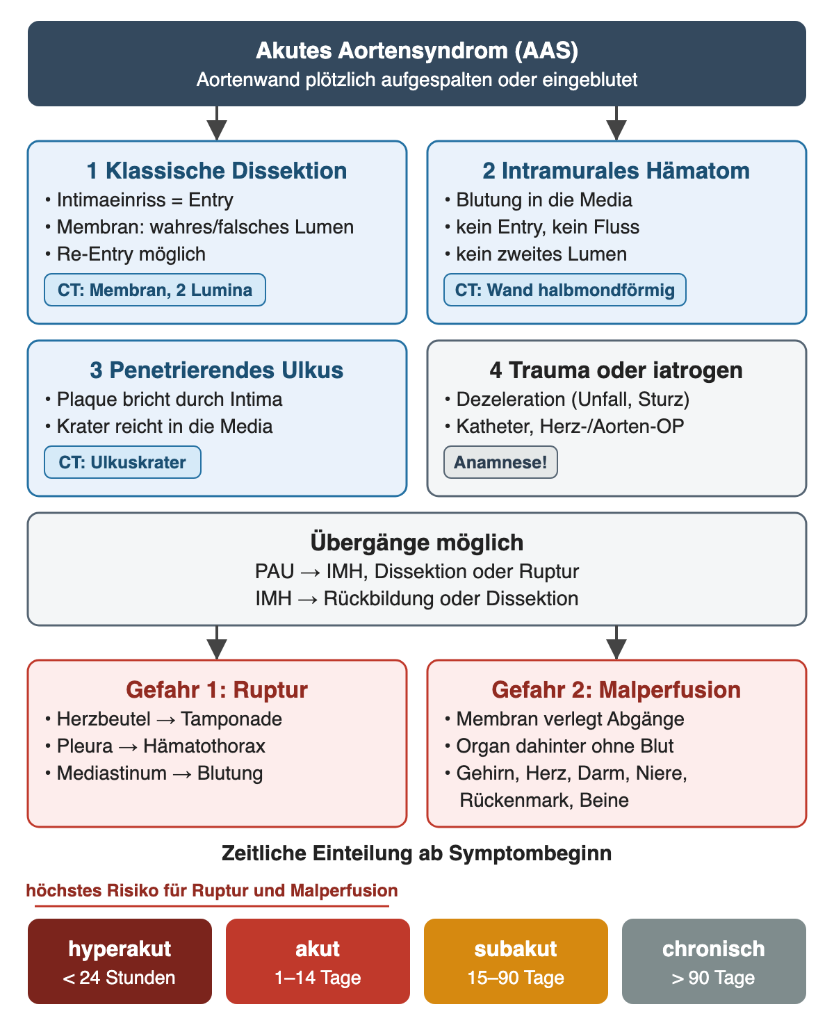 Diagramm: vier Formen des akuten Aortensyndroms mit ihrem CT-Zeichen (klassische Dissektion, intramurales Hämatom, penetrierendes Ulkus, Trauma oder iatrogen), mögliche Übergänge, die zwei Gefahren Ruptur und Malperfusion und eine Zeitleiste von hyperakut bis chronisch