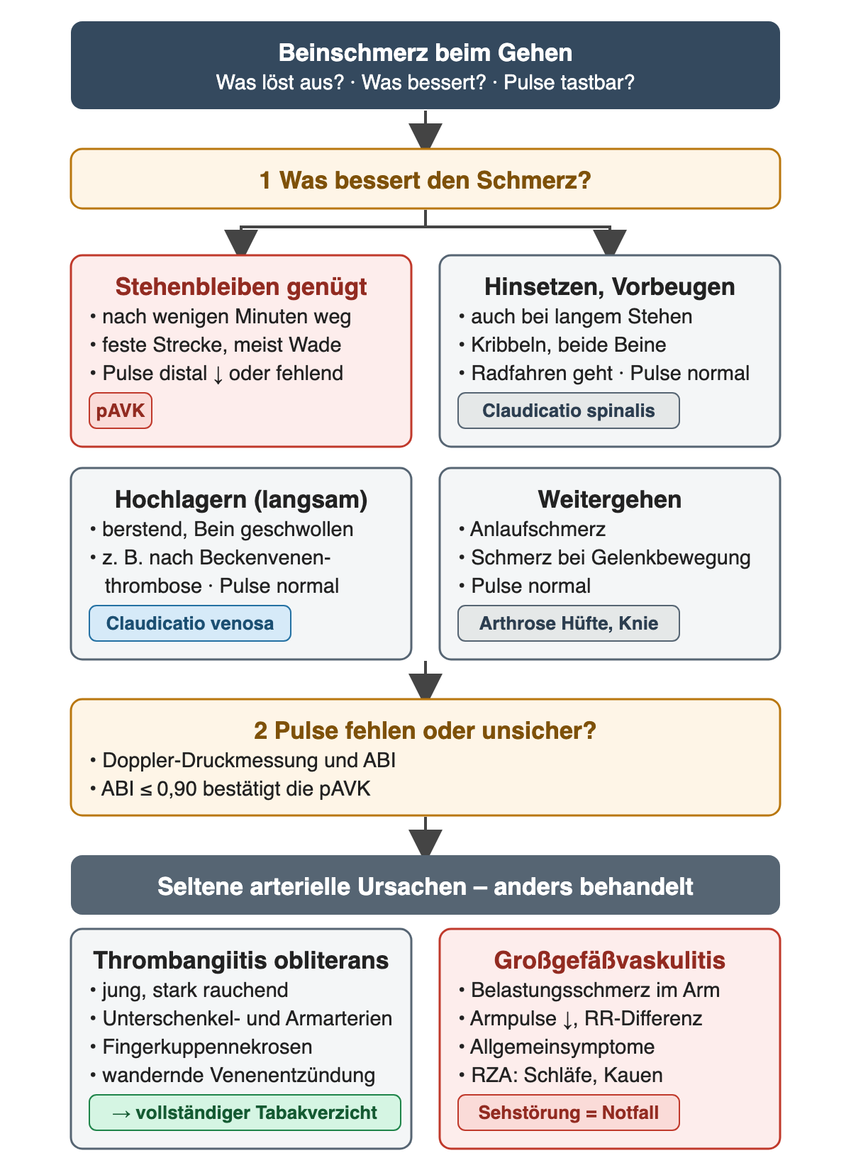 Entscheidungsschema Beinschmerz beim Gehen: Die Frage, was den Schmerz bessert, führt zu vier Kästen – Stehenbleiben (pAVK, Pulse distal abgeschwächt), Hinsetzen oder Vorbeugen (Claudicatio spinalis), Hochlagern (Claudicatio venosa), Weitergehen (Arthrose); danach Doppler und ABI bei fehlenden oder unsicheren Pulsen; unten Thrombangiitis obliterans und Großgefäßvaskulitis
