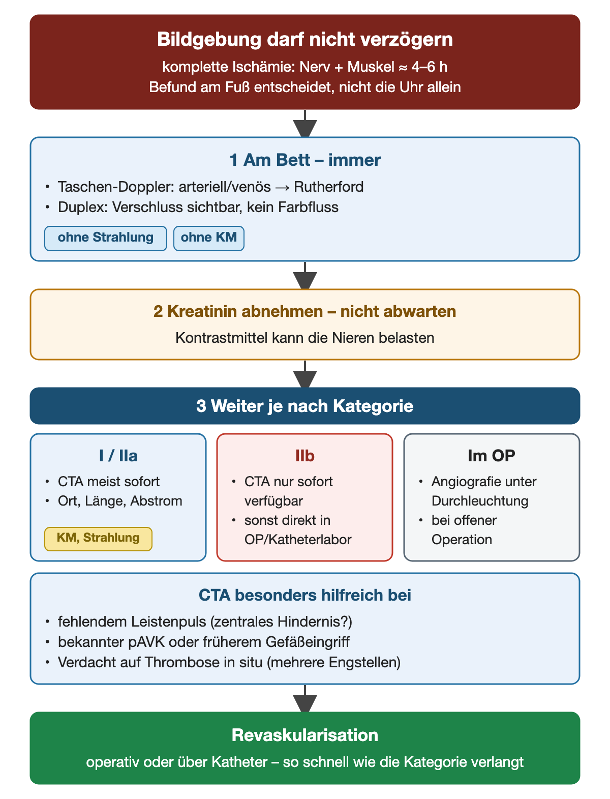 Flussdiagramm zur Bildgebung bei akuter Extremitätenischämie: Doppler und Duplex am Bett, Kreatinin abnehmen ohne zu warten, dann je nach Kategorie CTA sofort (I und IIa), CTA nur bei sofortiger Verfügbarkeit (IIb) oder Angiografie im OP; Indikationen für die CTA und Ziel Revaskularisation