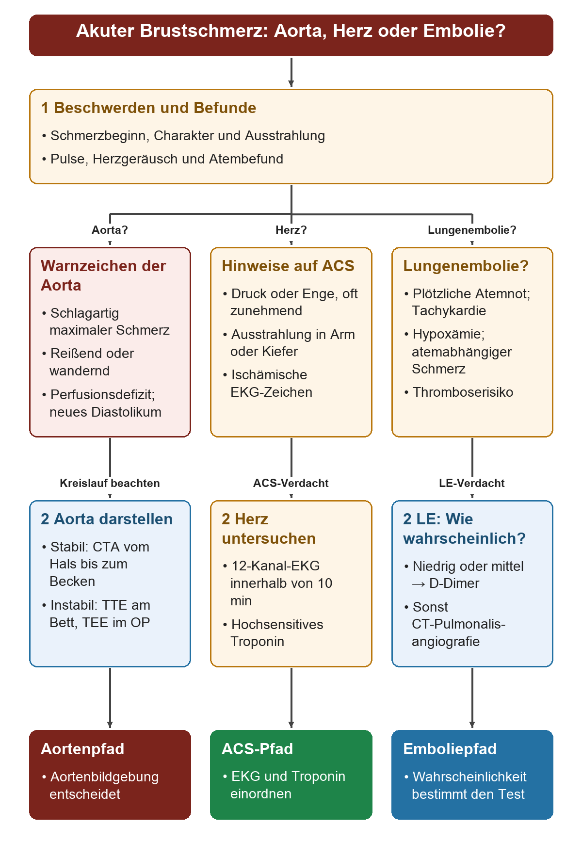 Drei parallele Wege vom akuten Brustschmerz: Aortenwarnzeichen führen abhängig vom Kreislauf zur CTA oder TTE und TEE; Druck oder Enge mit Ausstrahlung zum EKG innerhalb von zehn Minuten und Troponin; Hinweise auf Lungenembolie führen über die klinische Wahrscheinlichkeit zum D-Dimer-Test oder zur CT-Pulmonalisangiografie.