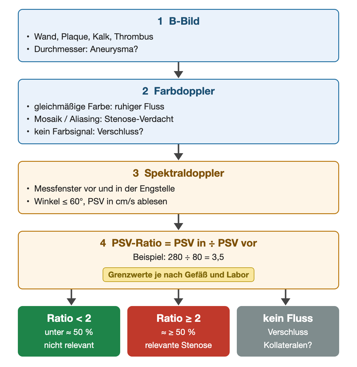 Ablauf einer Duplexuntersuchung in vier Schritten: B-Bild für Wand und Durchmesser, Farbdoppler für Mosaik oder fehlendes Signal, Spektraldoppler mit Winkel bis 60 Grad und PSV in cm/s, PSV-Ratio mit Beispiel 280 geteilt durch 80 gleich 3,5; unten drei Ergebnisse: Ratio unter 2, Ratio ab 2 und kein Fluss