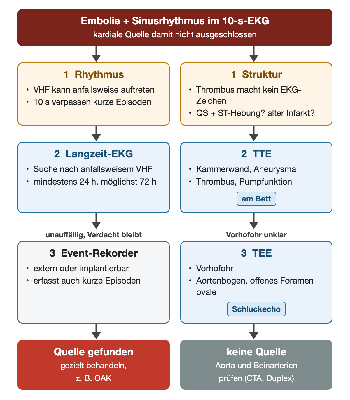 Embolie bei Sinusrhythmus im 10-Sekunden-EKG: links die Rhythmusspur mit Langzeit-EKG über mindestens 24, möglichst 72 Stunden und Event-Rekorder, rechts die Strukturspur mit transthorakaler und transösophagealer Echokardiografie; unten Quelle gefunden oder Suche an Aorta und Beinarterien.