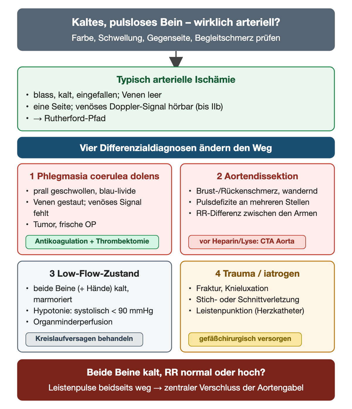 Diagramm: typische arterielle Ischämie gegenüber vier Differenzialdiagnosen mit Zeichen und Konsequenz – Phlegmasia coerulea dolens, Aortendissektion, Low-Flow-Zustand mit systolischem Blutdruck unter 90 mmHg, Trauma oder iatrogene Verletzung – und der Hinweis auf einen zentralen Verschluss der Aortengabel bei beidseits kalten Beinen