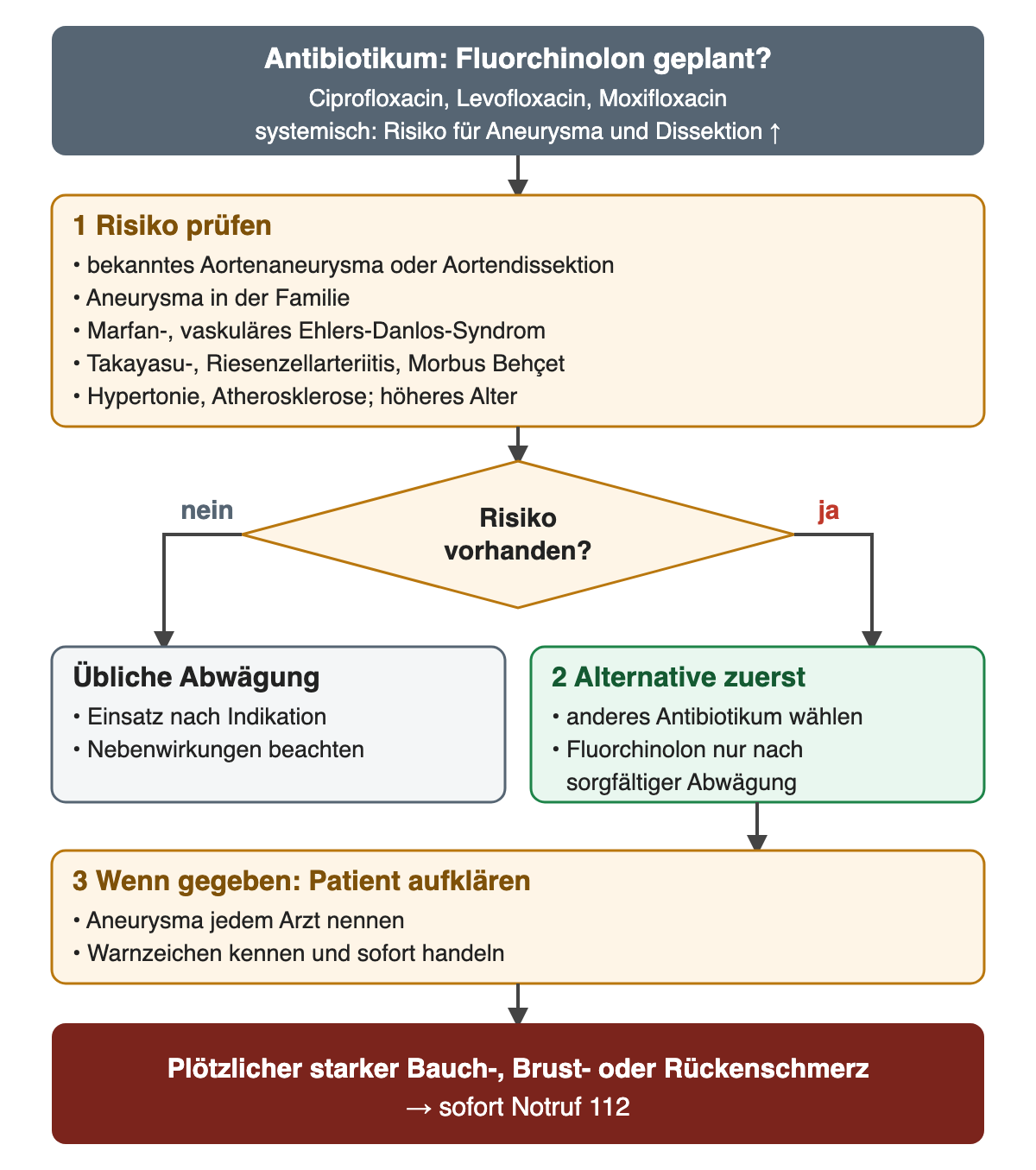 Flussdiagramm: Fluorchinolon geplant, Risikofaktoren prüfen, Entscheidung Risiko vorhanden; nein führt zur üblichen Abwägung, ja zuerst zu einem anderen Antibiotikum; wenn doch gegeben, Patient aufklären; unten Warnschmerz mit sofortigem Notruf 112