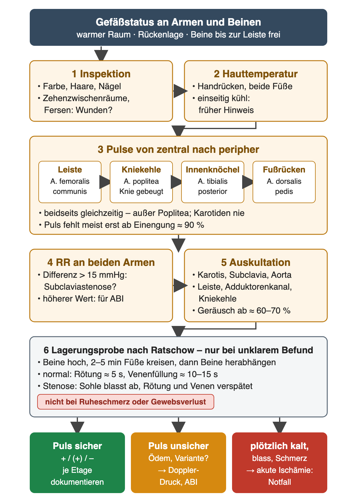Ablaufschema Gefäßstatus in sechs nummerierten Schritten: Inspektion, Hauttemperatur, Pulse von der Leiste über Kniekehle und Innenknöchel bis zum Fußrücken, Blutdruck an beiden Armen mit Grenze 15 mmHg, Auskultation mit Geräusch ab etwa 60–70 % Einengung, Lagerungsprobe nach Ratschow mit Normalzeiten; unten drei Ergebnisse: Puls sicher dokumentieren, Puls unsicher zum Doppler, plötzlich kalter Fuß als Notfall