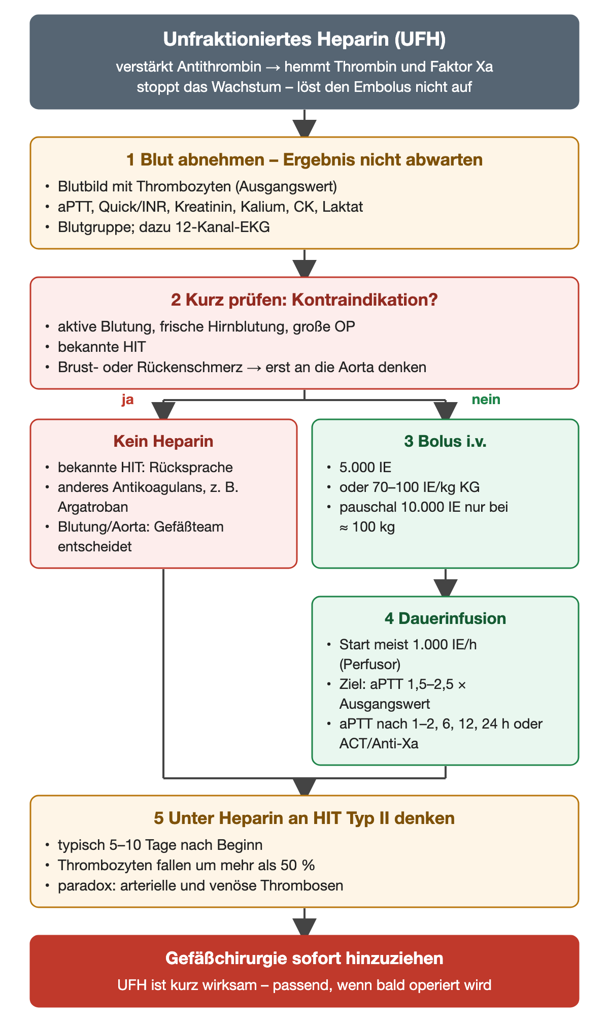 Flussdiagramm zu unfraktioniertem Heparin: Blutabnahme ohne Warten auf das Ergebnis, Prüfung der Kontraindikationen, bei bekannter HIT kein Heparin, sonst Bolus 5.000 IE oder 70 bis 100 IE pro Kilogramm und Dauerinfusion mit aPTT-Ziel und Kontrollzeiten; danach HIT Typ II bedenken und Gefäßchirurgie sofort hinzuziehen