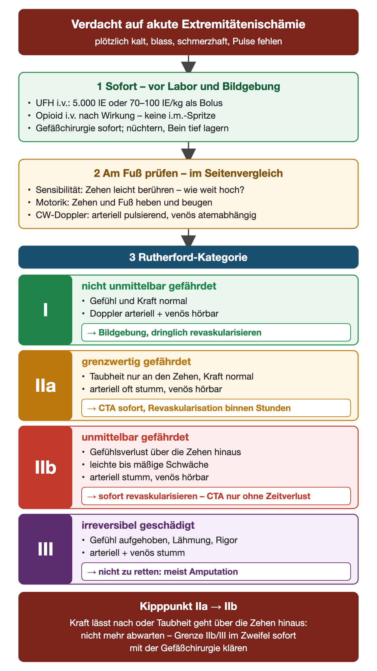 Flussdiagramm vom Verdacht auf akute Extremitätenischämie über die Sofortmaßnahmen mit Heparin-Dosis und die Prüfung von Sensibilität, Motorik und Doppler zu den Rutherford-Kategorien I, IIa, IIb und III mit Befund und Handlung; unten der Kipppunkt von IIa zu IIb