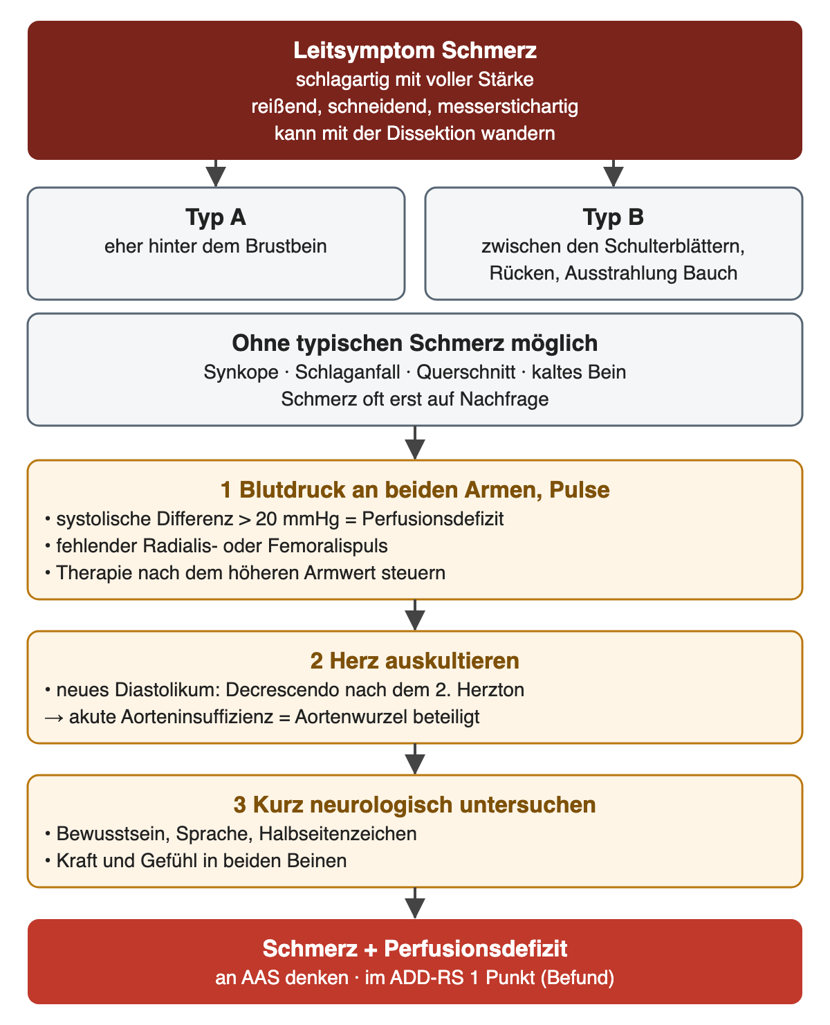 Diagramm: Leitsymptom Schmerz mit typischer Lage bei Typ A und Typ B, Präsentationen ohne typischen Schmerz, dann drei nummerierte Untersuchungsschritte am Bett (Blutdruck beider Arme und Pulse, Auskultation, Kurz-Neurologie) und als Ergebnis Schmerz plus Perfusionsdefizit