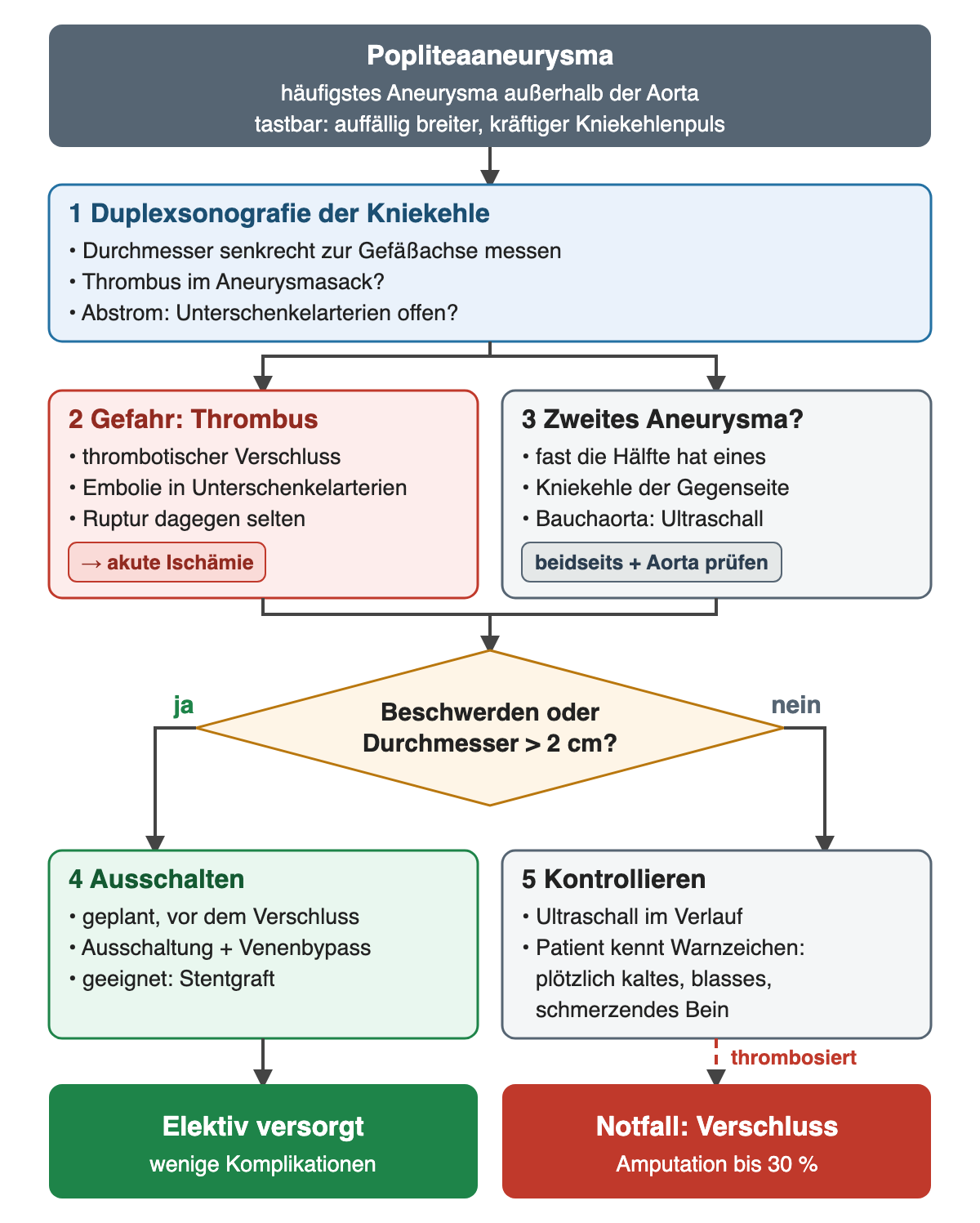 Diagramm: Popliteaaneurysma, dann Duplexsonografie der Kniekehle; zwei Äste Gefahr durch Thrombus und Suche nach dem zweiten Aneurysma; Entscheidung Beschwerden oder Durchmesser über 2 cm führt zu geplanter Ausschaltung oder Kontrolle; unten elektiv versorgt gegenüber Notfall-Verschluss mit Amputation bis 30 %