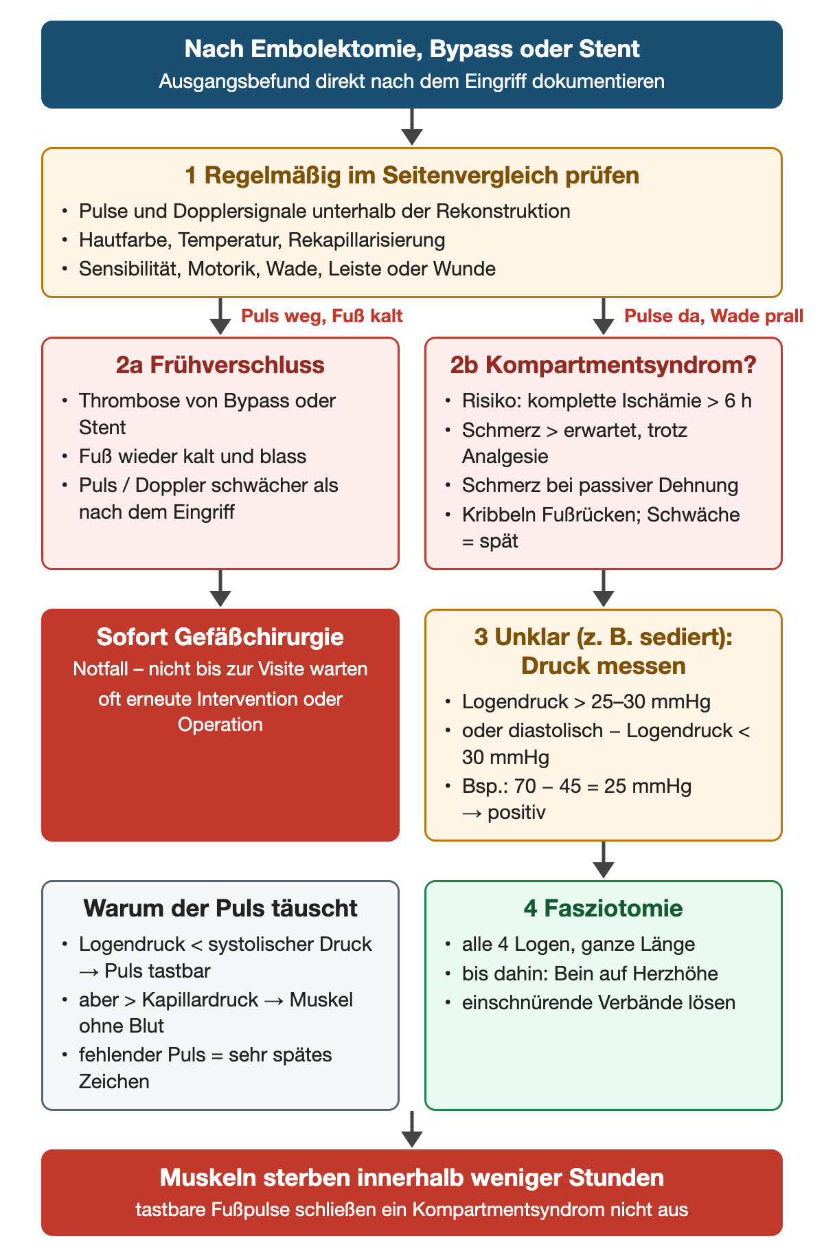 Nach Embolektomie, Bypass oder Stent den Ausgangsbefund dokumentieren; Schritt 1 regelmäßig im Seitenvergleich Pulse, Doppler, Hautfarbe, Temperatur, Sensomotorik, Wade und Leiste prüfen; Puls weg und Fuß kalt: Frühverschluss durch Thrombose, sofort Gefäßchirurgie; Pulse da und Wade prall: Kompartmentsyndrom bei Risiko nach kompletter Ischämie über 6 Stunden, Schmerz trotz Analgesie und bei passiver Dehnung; Schritt 3 bei unklarem Befund Druck messen, Logendruck über 25–30 mmHg oder diastolischer Druck minus Logendruck unter 30 mmHg, Beispiel 70 minus 45 gleich 25; Schritt 4 Fasziotomie aller 4 Logen; Logendruck liegt unter dem systolischen, aber über dem Kapillardruck, deshalb bleibt der Puls tastbar