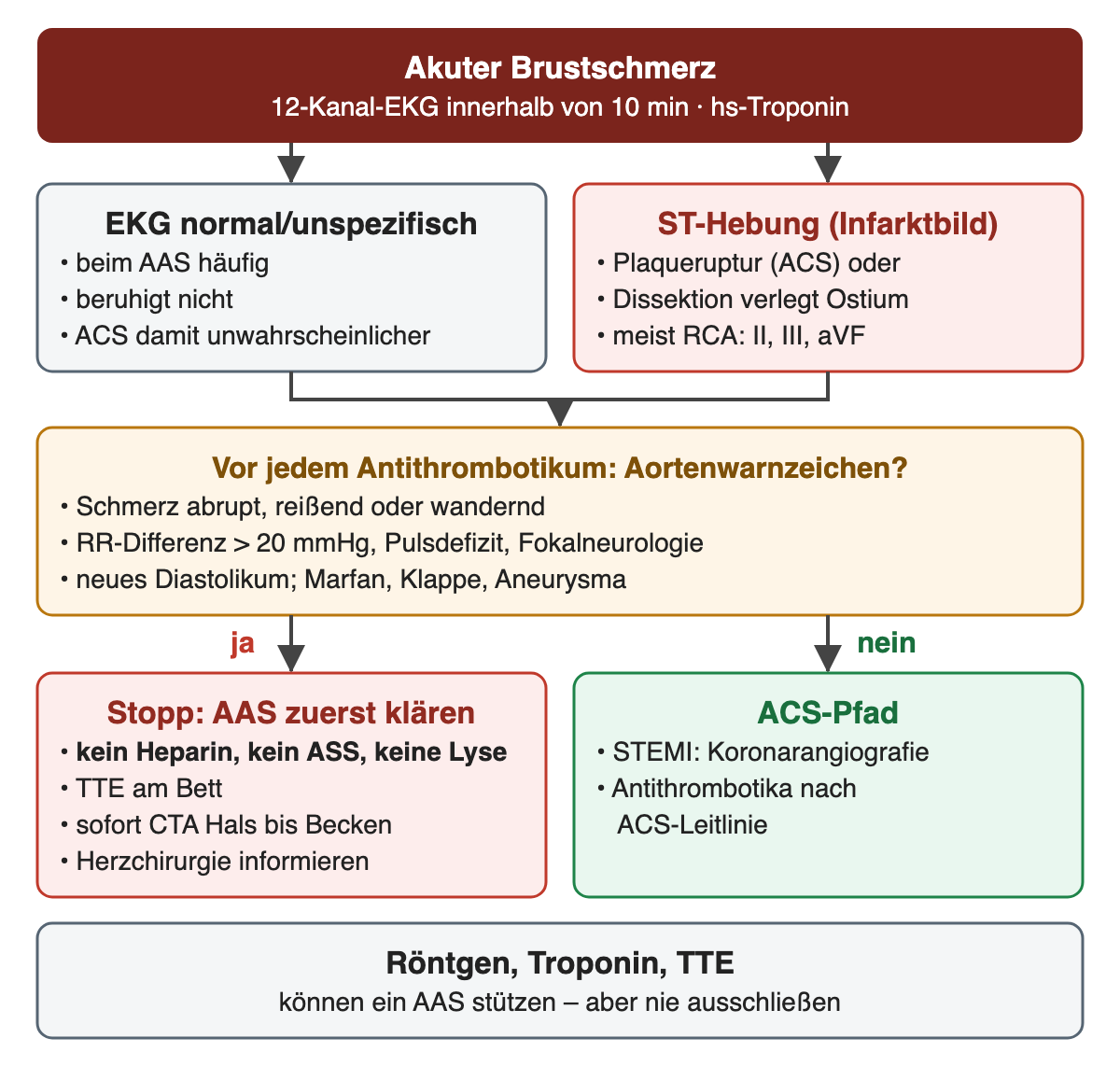 Entscheidungsdiagramm: akuter Brustschmerz mit EKG in 10 Minuten; normales oder unspezifisches EKG und ST-Hebung führen beide zur Prüfung der Aortenwarnzeichen vor jedem Antithrombotikum; ja: kein Heparin, kein ASS, keine Lyse, TTE und sofort CTA; nein: ACS-Pfad