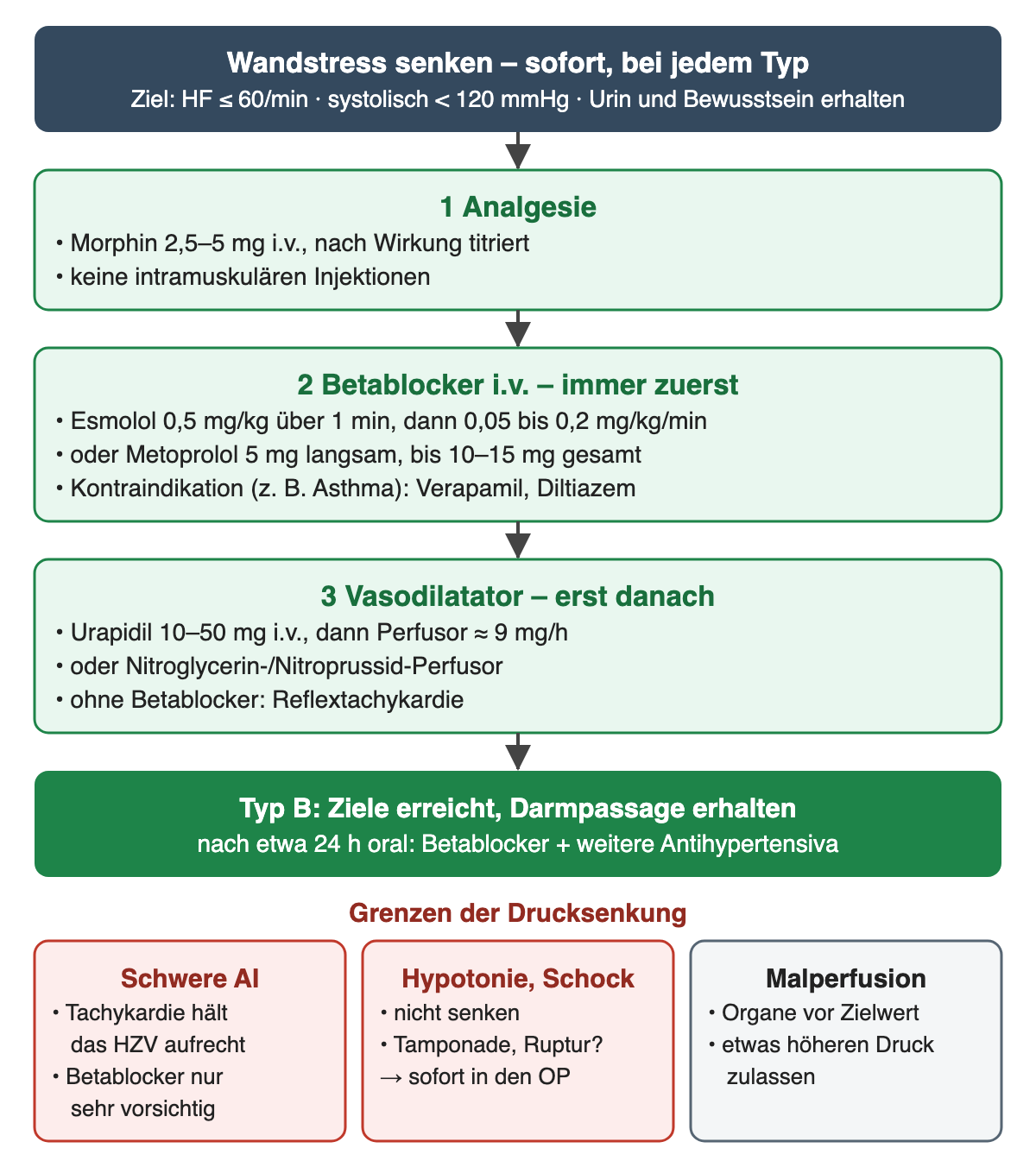 Diagramm: Ziel Herzfrequenz höchstens 60/min und systolisch unter 120 mmHg; drei grüne Schritte Analgesie, Betablocker i.v. mit Dosierungen, Vasodilatator mit Dosierungen; Umstellung auf orale Therapie nach etwa 24 Stunden; unten drei Grenzen der Drucksenkung: schwere Aorteninsuffizienz, Hypotonie oder Schock, Malperfusion