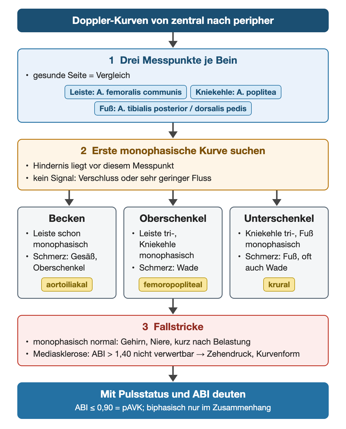Ablauf: drei Messpunkte an Leiste, Kniekehle und Fuß ableiten, die erste monophasische Kurve suchen und daraus die Etage ableiten – Becken, Oberschenkel oder Unterschenkel mit der jeweils typischen Schmerzregion; darunter Fallstricke und die Deutung zusammen mit Pulsstatus und ABI