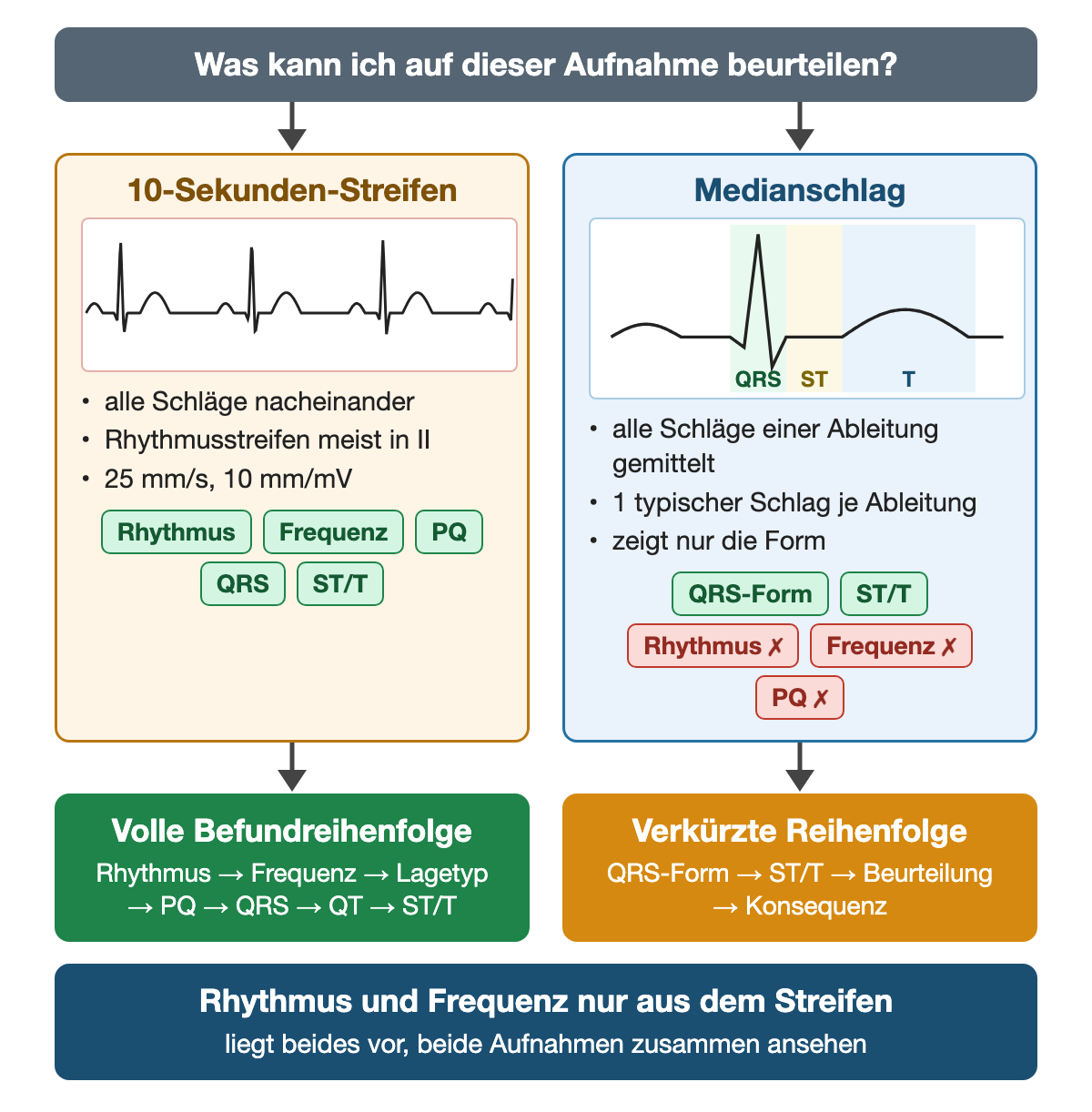 Vergleich zweier Aufnahmen: links ein 10-Sekunden-Streifen mit mehreren Herzschlägen nacheinander, beurteilbar Rhythmus, Frequenz, PQ, QRS und ST/T; rechts ein einzelner gemittelter Medianschlag mit farbig markierten Abschnitten QRS, ST und T, beurteilbar nur QRS-Form und ST/T, nicht Rhythmus, Frequenz und PQ; darunter volle Befundreihenfolge für den Streifen und verkürzte Reihenfolge QRS-Form, ST/T, Beurteilung, Konsequenz für den Medianschlag.