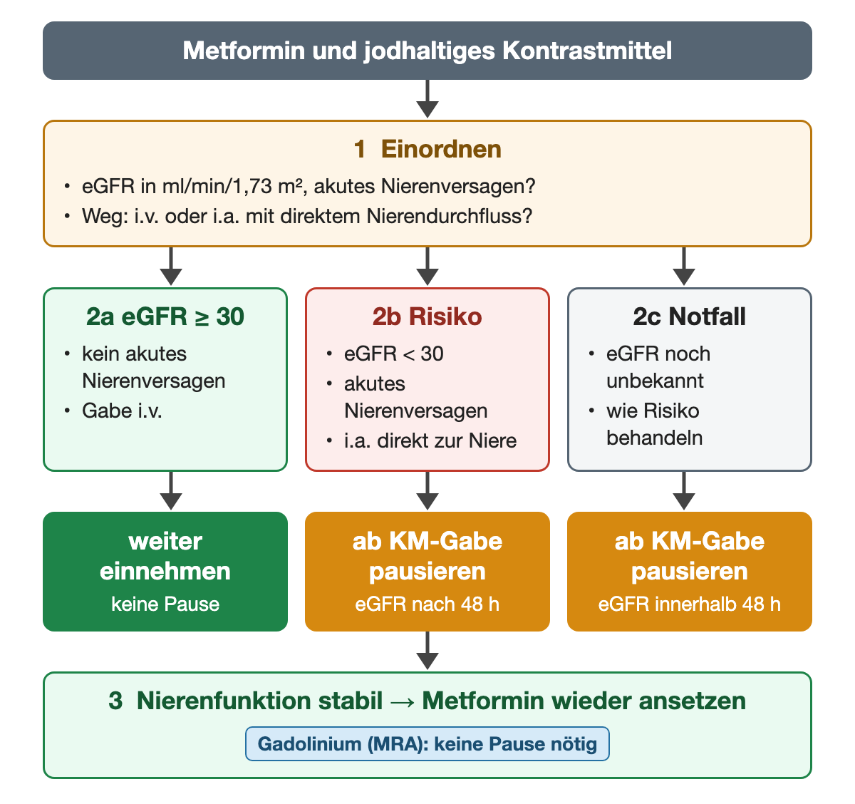 Metformin bei jodhaltigem Kontrastmittel: nach Einordnung von eGFR, akutem Nierenversagen und Applikationsweg drei Wege – eGFR ab 30 bei intravenöser Gabe weiter einnehmen, Risiko mit Pause ab Kontrastmittelgabe und eGFR nach 48 Stunden, Notfall mit unbekannter eGFR ebenso pausieren; bei stabiler Nierenfunktion wieder ansetzen, für Gadolinium keine Pause