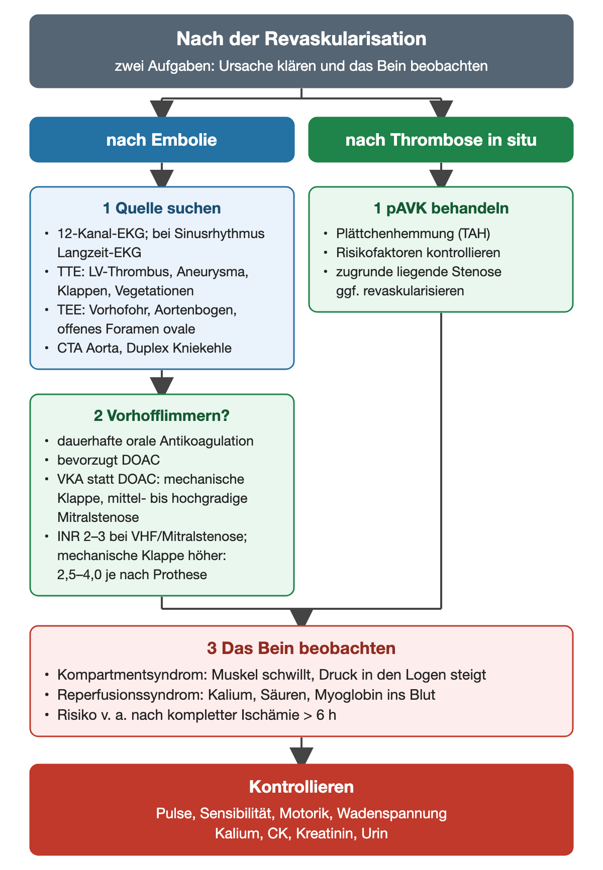 Flussdiagramm nach der Revaskularisation: nach Embolie Quellensuche mit EKG, Langzeit-EKG, TTE, TEE, CTA und Duplex, bei Vorhofflimmern dauerhafte orale Antikoagulation (bevorzugt DOAC; VKA bei mechanischer Klappe oder Mitralstenose, INR-Ziel 2 bis 3 bei Vorhofflimmern und Mitralstenose, bei mechanischer Klappe höher, etwa 2,5 bis 4,0 je nach Prothese); nach Thrombose in situ pAVK-Behandlung; danach Beobachtung auf Kompartment- und Reperfusionssyndrom mit Kontrollen
