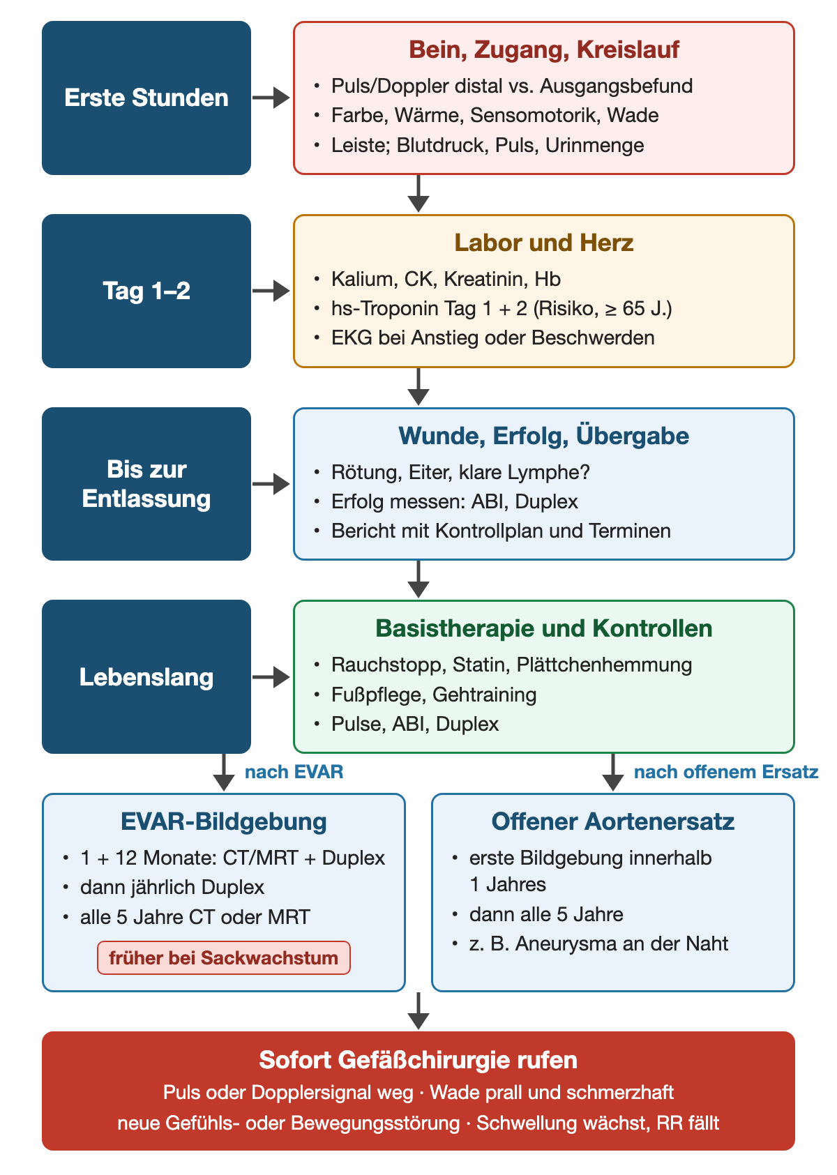 Zeitachse von oben nach unten nach einem Gefäßeingriff: erste Stunden Bein, Zugang und Kreislauf mit Puls und Doppler im Vergleich zum Ausgangsbefund, Farbe, Wärme, Sensomotorik, Wade, Leiste, Blutdruck, Urinmenge; Tag 1–2 Labor und Herz mit Kalium, CK, Kreatinin, Hb, hochsensitivem Troponin an Tag 1 und 2 bei Risiko oder ab 65 Jahren; bis zur Entlassung Wunde, Erfolgsmessung mit ABI und Duplex, Bericht mit Kontrollplan; lebenslang Basistherapie und Kontrollen; nach EVAR CT oder MRT plus Duplex nach 1 und 12 Monaten, dann jährlich Duplex und alle 5 Jahre CT oder MRT; nach offenem Aortenersatz erste Bildgebung innerhalb eines Jahres, dann alle 5 Jahre; Warnzeichen für sofortigen Ruf der Gefäßchirurgie