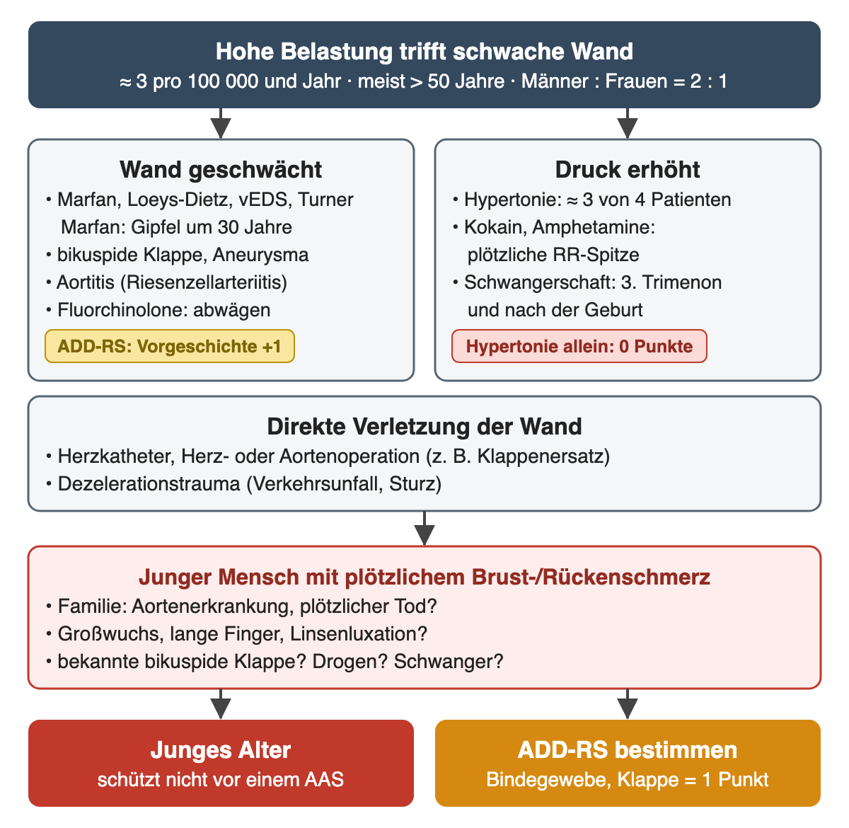 Diagramm: Kopfzeile mit Häufigkeit, Alter und Geschlechterverhältnis; zwei Kästen Wand geschwächt und Druck erhöht mit den Risikofaktoren, ein Kasten direkte Verletzung, dann die gezielte Anamnese beim jungen Menschen und zwei Ergebnisfelder