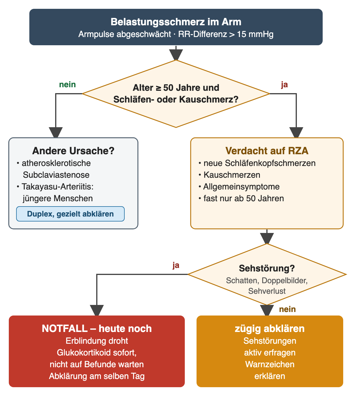 Entscheidungsschema Armclaudicatio: Belastungsschmerz im Arm mit abgeschwächten Armpulsen und Blutdruckdifferenz über 15 mmHg; Raute „Alter ab 50 Jahren und Schläfen- oder Kauschmerz?“ – nein: Subclaviastenose oder Takayasu-Arteriitis erwägen, ja: Verdacht auf Riesenzellarteriitis; zweite Raute „Sehstörung?“ – ja: Notfall mit sofortigem Glukokortikoid und Abklärung am selben Tag, nein: zügig abklären und nach Sehstörungen fragen