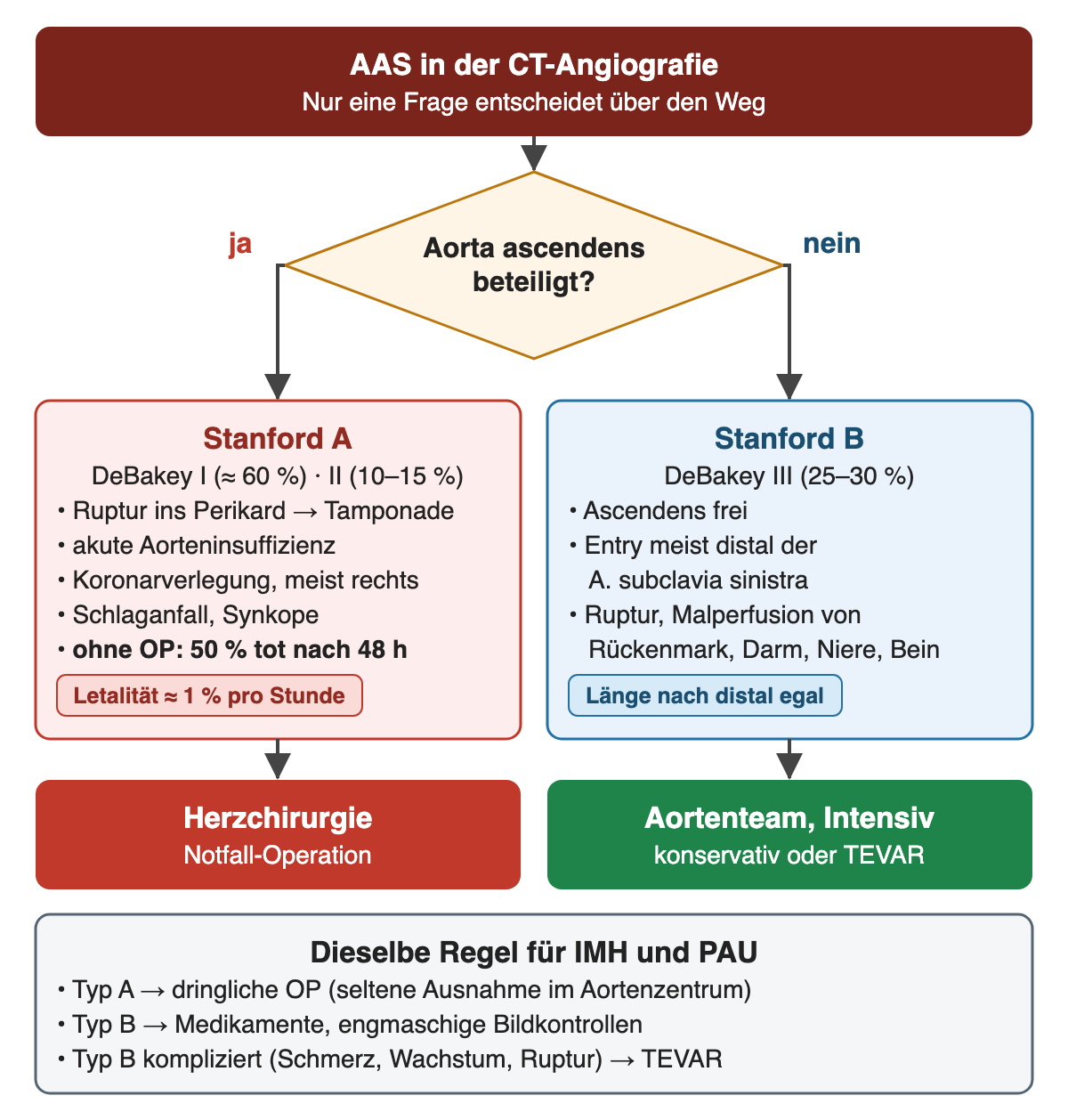 Entscheidungsdiagramm: Aorta ascendens beteiligt? Ja führt zu Stanford A (DeBakey I und II) mit Tamponade, Aorteninsuffizienz und Koronarverlegung und zur Notfall-Operation; nein führt zu Stanford B (DeBakey III) mit Ruptur und Malperfusion und zum Aortenteam; darunter dieselbe Regel für IMH und PAU