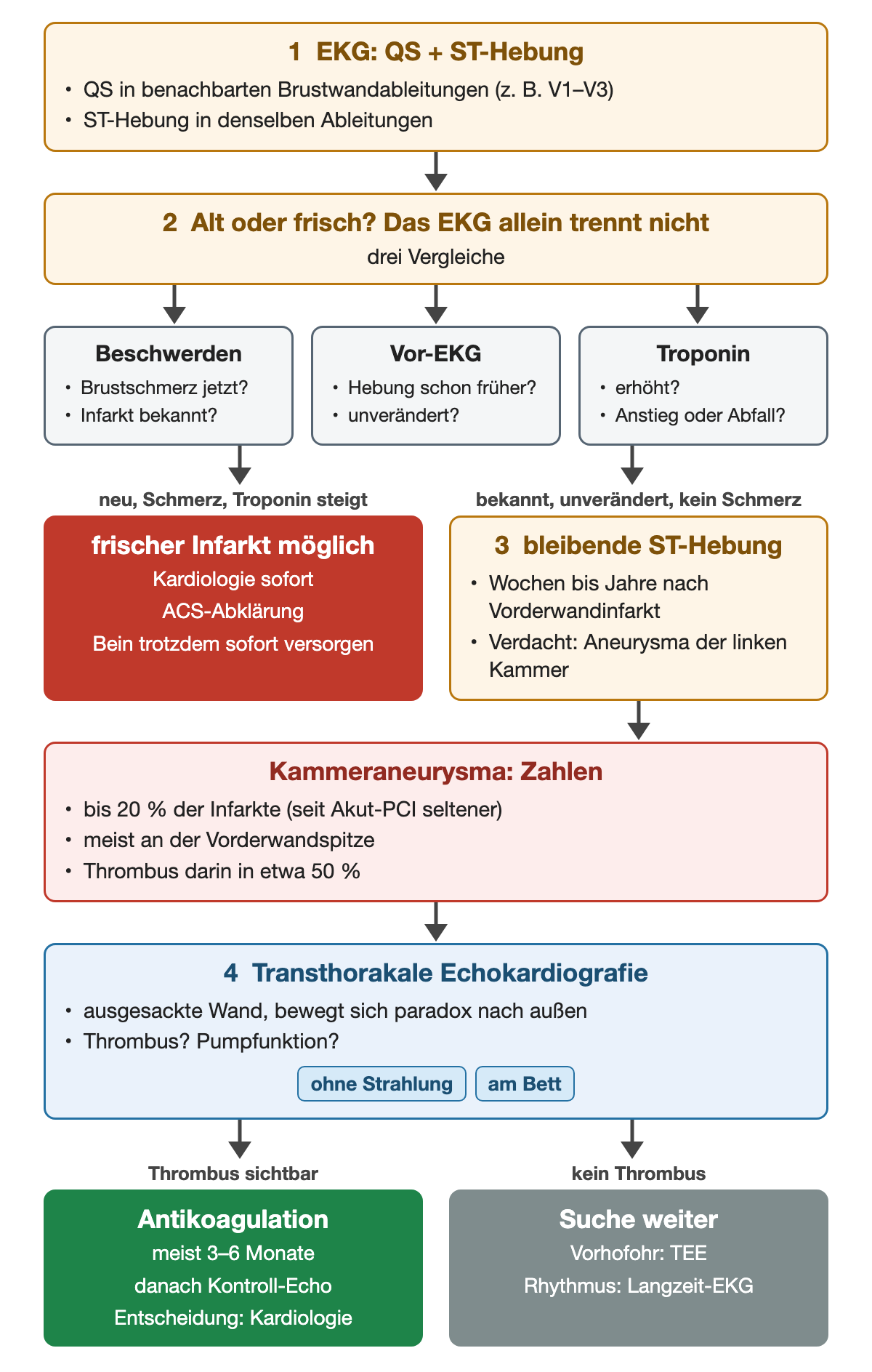 QS-Komplexe mit ST-Hebung: Beschwerden, Vor-EKG und Troponin trennen einen frischen Infarkt von einer bleibenden ST-Hebung; diese weckt den Verdacht auf ein Kammeraneurysma, bis 20 Prozent der Infarkte, Thrombus darin in etwa 50 Prozent; die transthorakale Echokardiografie entscheidet über Antikoagulation für meist 3 bis 6 Monate oder weitere Suche.