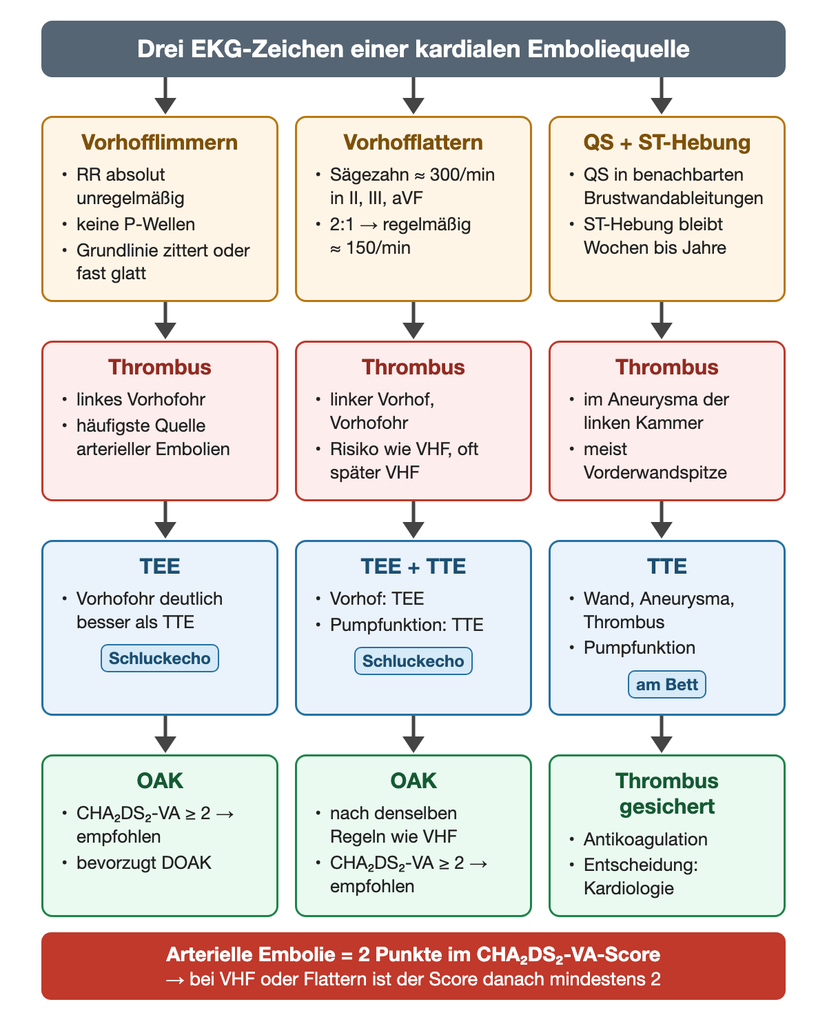 Drei Spalten: Vorhofflimmern, Vorhofflattern sowie QS-Komplexe mit ST-Hebung führen jeweils zum Ort des Thrombus, zur passenden Echokardiografie und zur Antikoagulation; unten der Hinweis, dass eine arterielle Embolie im CHA₂DS₂-VA-Score 2 Punkte zählt.