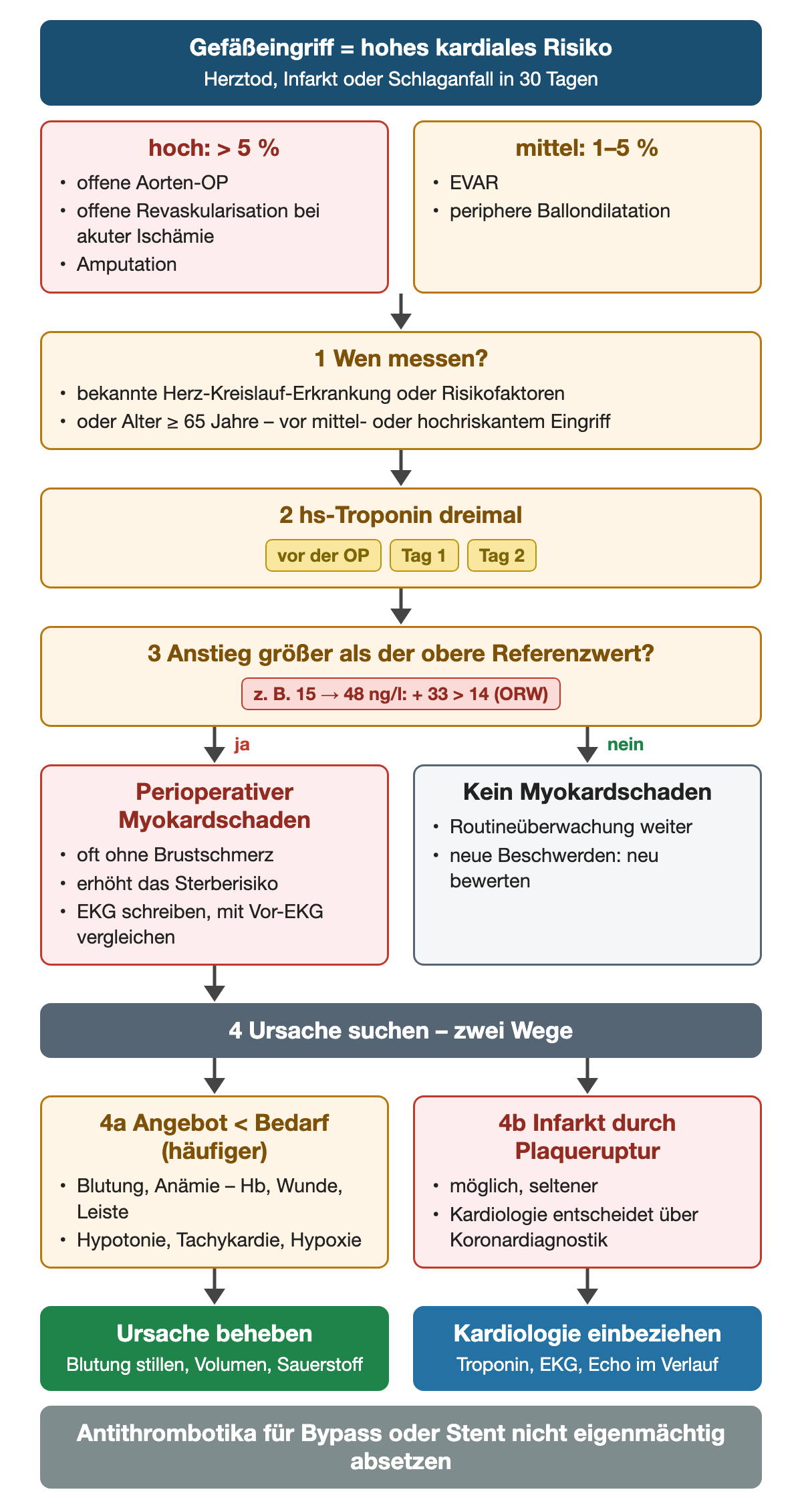 Gefäßeingriff mit hohem kardialem Risiko für Herztod, Infarkt oder Schlaganfall in 30 Tagen: hoch über 5 Prozent bei offener Aorten-OP, offener Revaskularisation bei akuter Ischämie und Amputation, mittel 1–5 Prozent bei EVAR und peripherer Ballondilatation; Schritt 1 messen bei Herz-Kreislauf-Erkrankung, Risikofaktoren oder ab 65 Jahren; Schritt 2 hochsensitives Troponin vor der OP, an Tag 1 und Tag 2; Schritt 3 Anstieg größer als der obere Referenzwert, Beispiel 15 auf 48 ng/l; ja: perioperativer Myokardschaden, oft ohne Brustschmerz, EKG mit Vor-EKG vergleichen; Ursache suchen: häufiger Angebot kleiner Bedarf durch Blutung, Anämie, Hypotonie, Tachykardie, Hypoxie, seltener Infarkt durch Plaqueruptur; Ursache beheben, Kardiologie einbeziehen, Antithrombotika nicht eigenmächtig absetzen