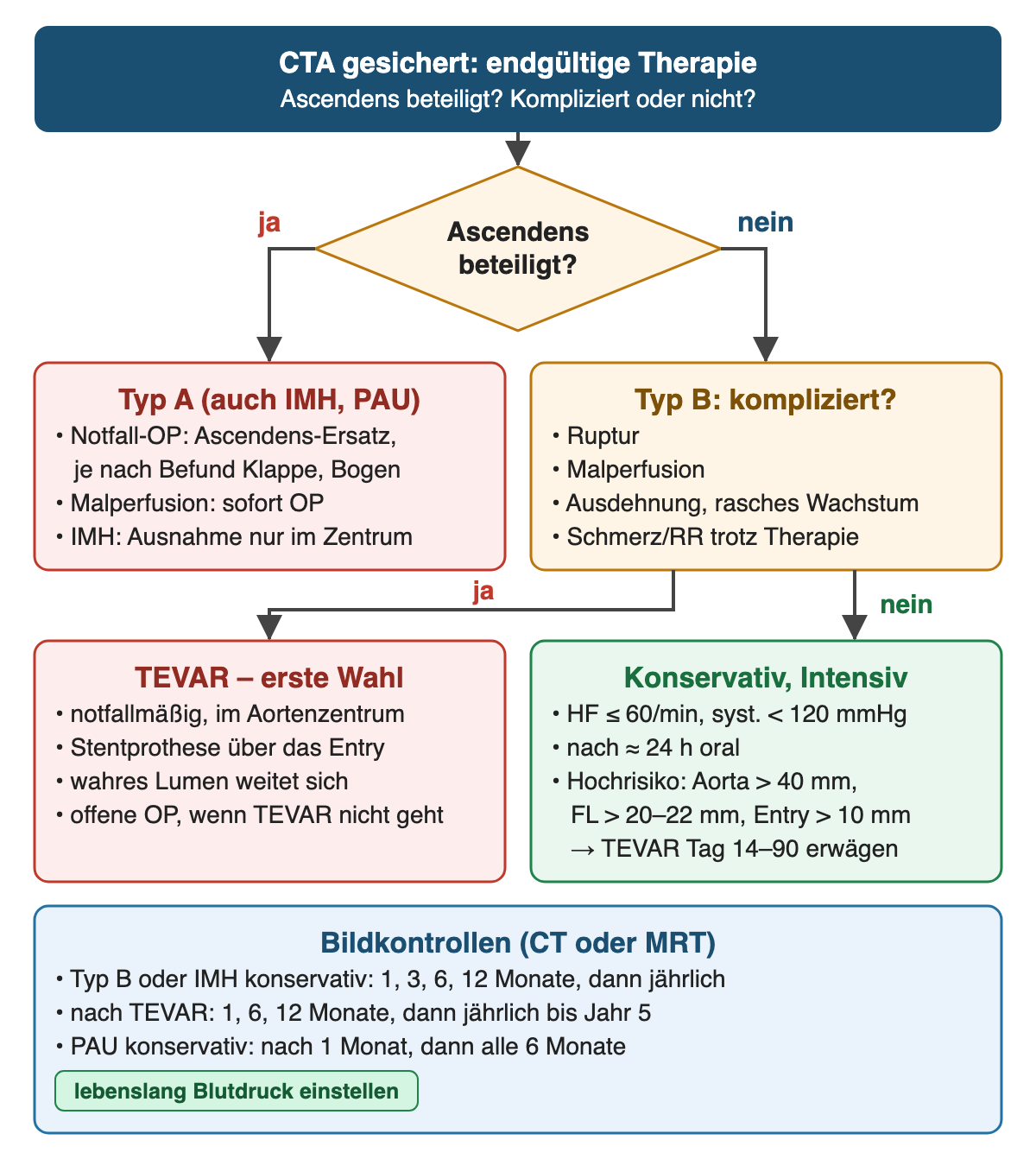 Entscheidungsdiagramm: Ascendens beteiligt? Ja: Typ A mit Notfall-Operation; nein: Typ B kompliziert? Ja: TEVAR als erste Wahl; nein: konservativ auf der Intensivstation mit Zielwerten und Hochrisikomerkmalen für eine frühe TEVAR; unten die Intervalle der Bildkontrollen