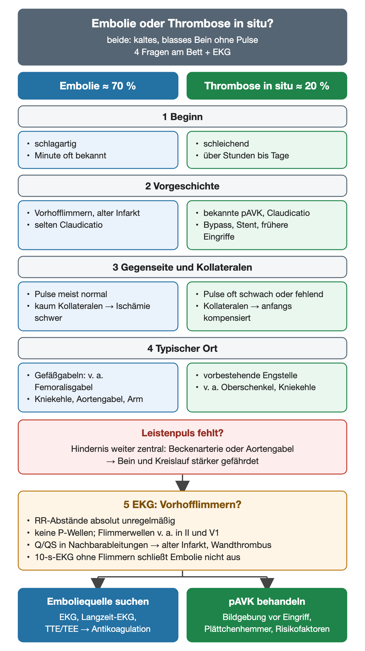Vergleichsdiagramm Embolie (etwa 70 Prozent) gegen Thrombose in situ (etwa 20 Prozent) in vier Schritten: Beginn, Vorgeschichte, Gegenseite und Kollateralen, typischer Ort; dazu fehlender Leistenpuls als Zeichen eines zentralen Hindernisses, die EKG-Zeichen des Vorhofflimmerns und die Konsequenzen Emboliequellensuche oder pAVK-Behandlung