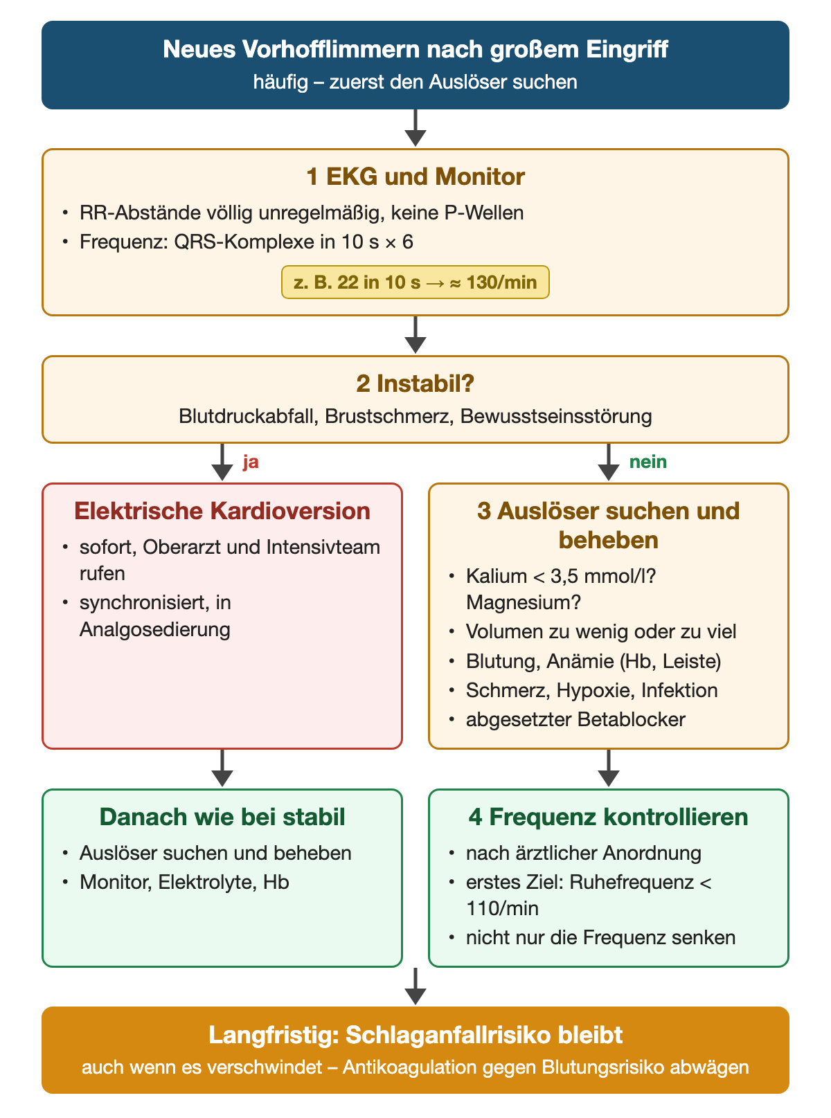 Neues Vorhofflimmern nach großem Eingriff: Schritt 1 EKG mit völlig unregelmäßigen RR-Abständen ohne P-Wellen, Frequenz als QRS-Komplexe in 10 Sekunden mal 6, Beispiel 22 ergibt etwa 130 pro Minute; Schritt 2 instabil bei Blutdruckabfall, Brustschmerz oder Bewusstseinsstörung: ja – sofortige synchronisierte elektrische Kardioversion in Analgosedierung, danach Auslöser beheben; nein – Schritt 3 Auslöser suchen: Kalium unter 3,5 mmol/l, Magnesium, Volumen, Blutung und Anämie, Schmerz, Hypoxie, Infektion, abgesetzter Betablocker; Schritt 4 Frequenz nach Anordnung kontrollieren, erstes Ziel Ruhefrequenz unter 110 pro Minute; langfristig bleibt das Schlaganfallrisiko, Antikoagulation gegen Blutungsrisiko abwägen