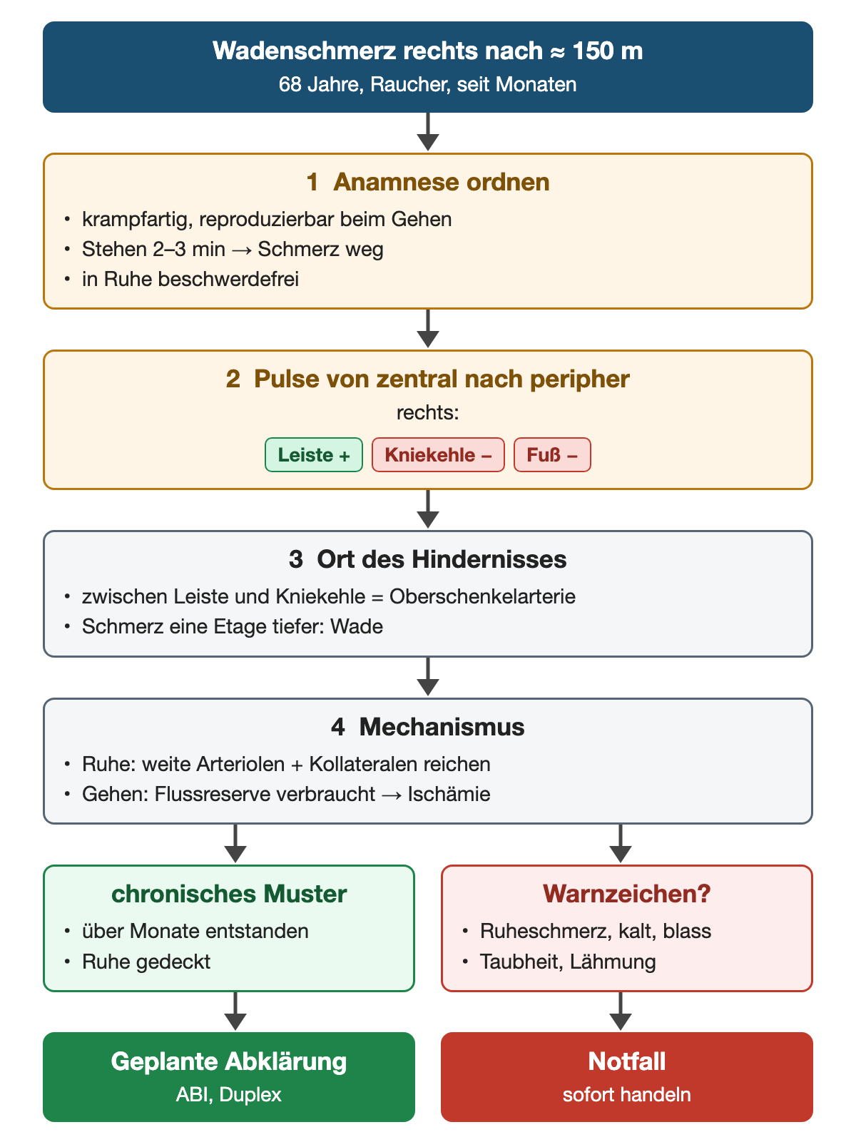 Denkweg zum Fall Herr K.: Wadenschmerz nach etwa 150 m, Anamnese ordnen, Pulse von zentral nach peripher mit tastbarem Leistenpuls und fehlendem Kniekehlen- und Fußpuls rechts, Hindernis in der Oberschenkelarterie, Mechanismus der verbrauchten Flussreserve; chronisches Muster führt zur geplanten Abklärung, Warnzeichen würden einen Notfall bedeuten.