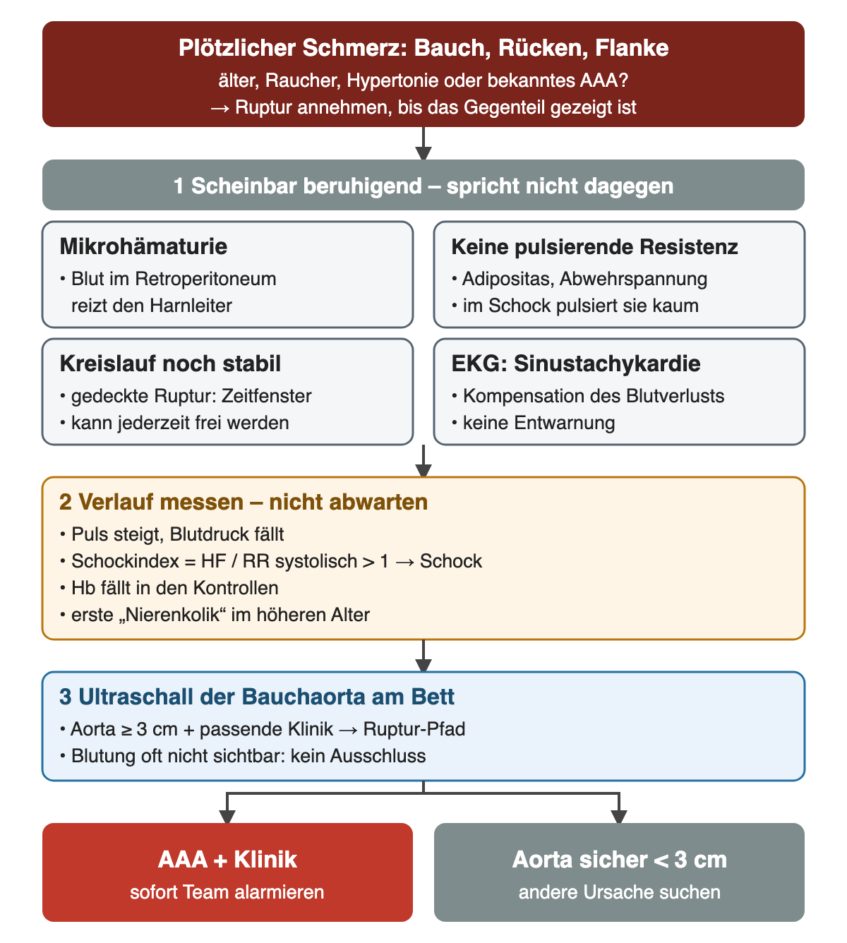 Diagramm: plötzlicher Schmerz bei Risikopatient, vier scheinbar beruhigende Befunde (Mikrohämaturie, keine pulsierende Resistenz, stabiler Kreislauf, Sinustachykardie), dann Verlaufszeichen mit Schockindex über 1 und Hb-Abfall, Ultraschall am Bett und zwei Ergebnisse