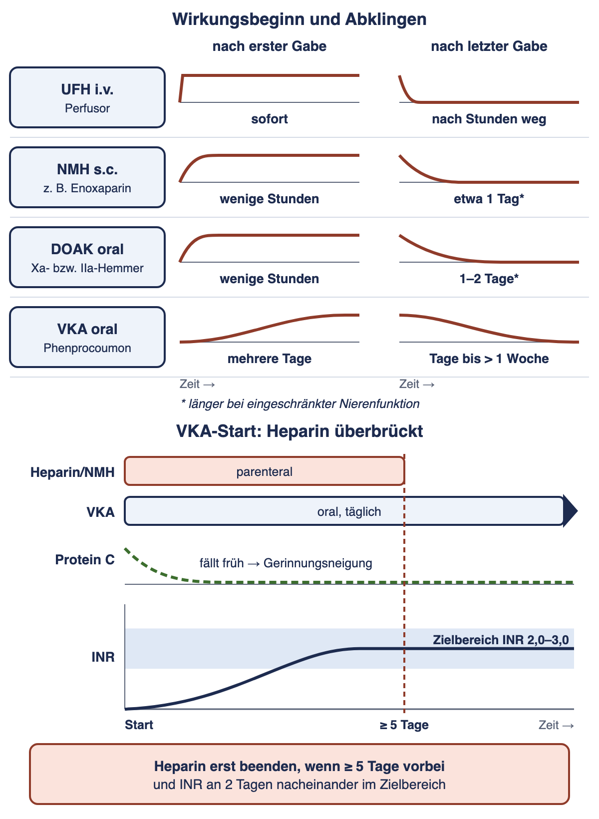 Qualitative Zeitachse von Wirkungsbeginn und Abklingen bei UFH, NMH, DOAK und VKA sowie VKA-Start mit überlappendem Heparin