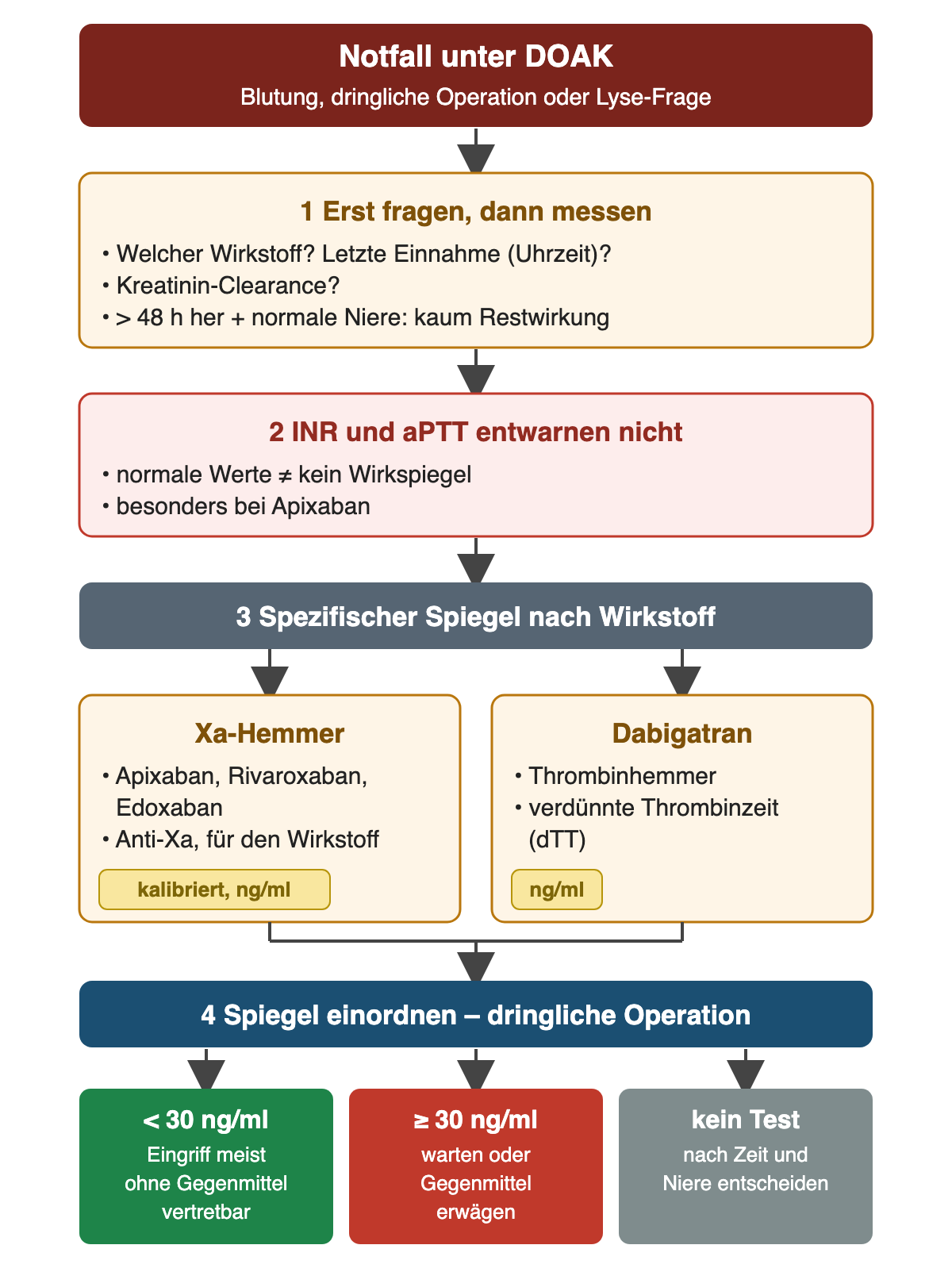 Flussdiagramm „Notfall unter DOAK“ bei Blutung, dringlicher Operation oder Lyse-Frage: 1 erst fragen – Wirkstoff, letzte Einnahme, Kreatinin-Clearance; mehr als 48 h und normale Niere bedeutet kaum Restwirkung. 2 INR und aPTT entwarnen nicht, besonders bei Apixaban. 3 spezifischer Spiegel: bei Xa-Hemmern wirkstoffkalibrierte Anti-Xa-Aktivität, bei Dabigatran verdünnte Thrombinzeit, jeweils in ng/ml. 4 Einordnung vor dringlicher Operation: unter 30 ng/ml Eingriff meist ohne Gegenmittel vertretbar; ab 30 ng/ml warten oder Gegenmittel erwägen; ohne Test nach Zeit und Nierenfunktion entscheiden.