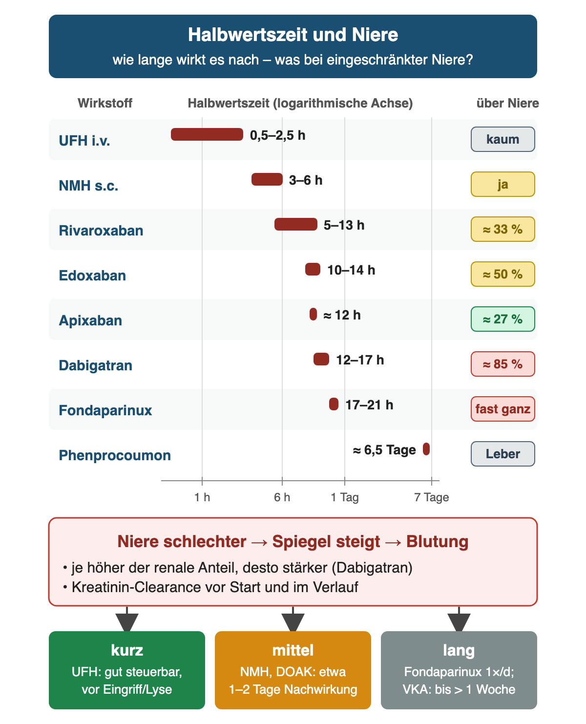 Balkendiagramm mit logarithmischer Zeitachse von 1 Stunde bis 7 Tage: UFH i.v. 0,5–2,5 h, kaum renal; NMH s.c. 3–6 h, renal; Rivaroxaban 5–13 h, etwa 33 % renal; Edoxaban 10–14 h, etwa 50 %; Apixaban etwa 12 h, etwa 27 %; Dabigatran 12–17 h, etwa 85 %; Fondaparinux 17–21 h, fast ganz renal; Phenprocoumon etwa 6,5 Tage, Abbau über die Leber. Darunter: Niere schlechter, Spiegel steigt, Blutung – Kreatinin-Clearance vor Start und im Verlauf. Ergebniszeile: kurz – UFH gut steuerbar; mittel – NMH und DOAK etwa 1–2 Tage Nachwirkung; lang – Fondaparinux einmal täglich, VKA bis über eine Woche.