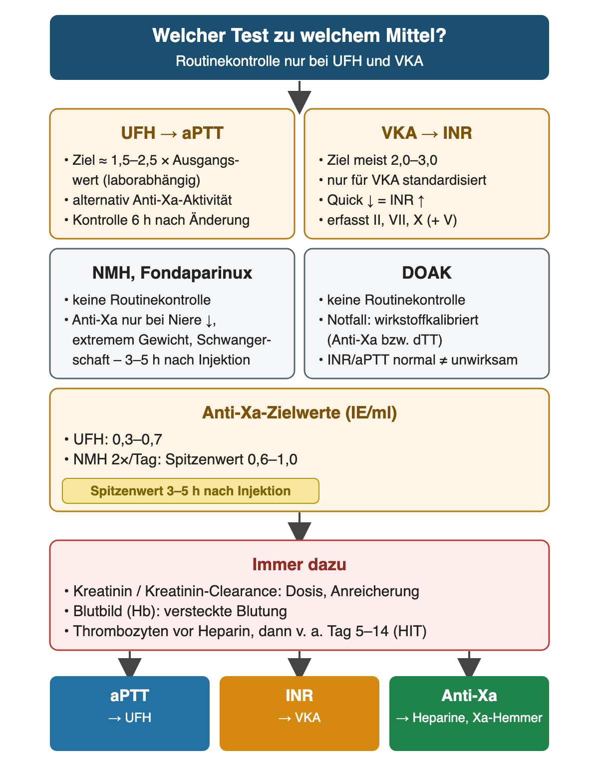Übersicht „Welcher Test zu welchem Mittel?“: UFH – aPTT mit Ziel etwa 1,5- bis 2,5-fach des Ausgangswerts, alternativ Anti-Xa, Kontrolle 6 h nach Änderung; VKA – INR, Ziel meist 2,0–3,0; NMH und Fondaparinux – keine Routinekontrolle, Anti-Xa nur bei eingeschränkter Niere, extremem Gewicht oder Schwangerschaft 3–5 h nach Injektion; DOAK – keine Routinekontrolle, im Notfall wirkstoffkalibriert. Anti-Xa-Zielwerte: UFH 0,3–0,7 IE/ml, NMH zweimal täglich Spitzenwert 0,6–1,0 IE/ml. Immer dazu: Kreatinin-Clearance, Blutbild, Thrombozyten vor Heparin und besonders an Tag 5–14. Ergebniszeile: aPTT zu UFH, INR zu VKA, Anti-Xa zu Heparinen und Xa-Hemmern.