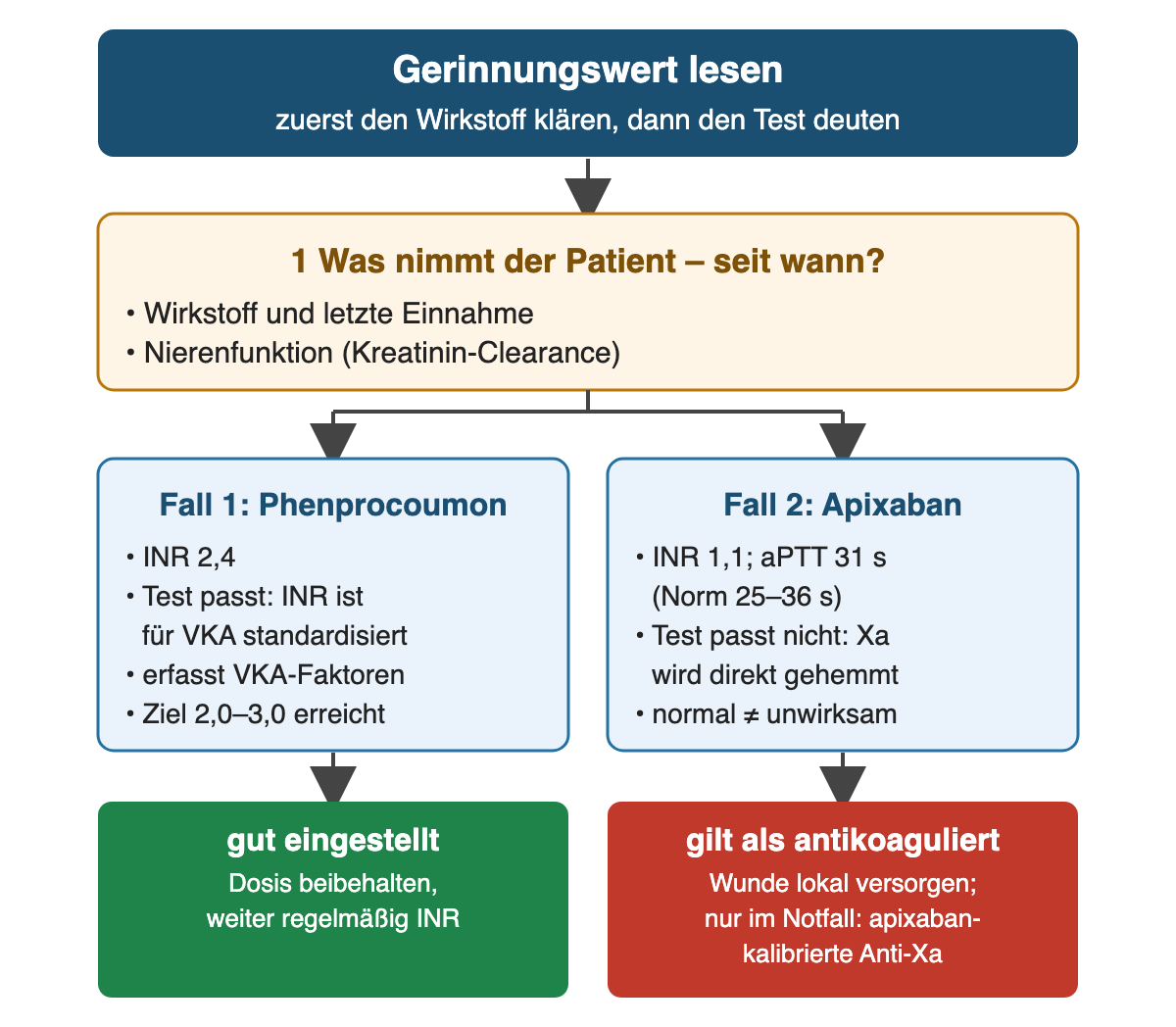 Entscheidungsweg „Gerinnungswert lesen“: 1 zuerst Wirkstoff, letzte Einnahme und Nierenfunktion klären. Dann zwei Fälle nebeneinander: Fall 1 Phenprocoumon, INR 2,4 – der Test passt, weil die INR für VKA standardisiert ist, Ziel 2,0–3,0 erreicht, Ergebnis gut eingestellt, Dosis beibehalten. Fall 2 Apixaban, INR 1,1 und aPTT 31 s bei Norm 25–36 s – der Test passt nicht, weil Xa direkt gehemmt wird, normale Werte heißen nicht unwirksam; Ergebnis gilt als antikoaguliert, Wunde lokal versorgen, nur im Notfall apixaban-kalibrierte Anti-Xa-Aktivität.